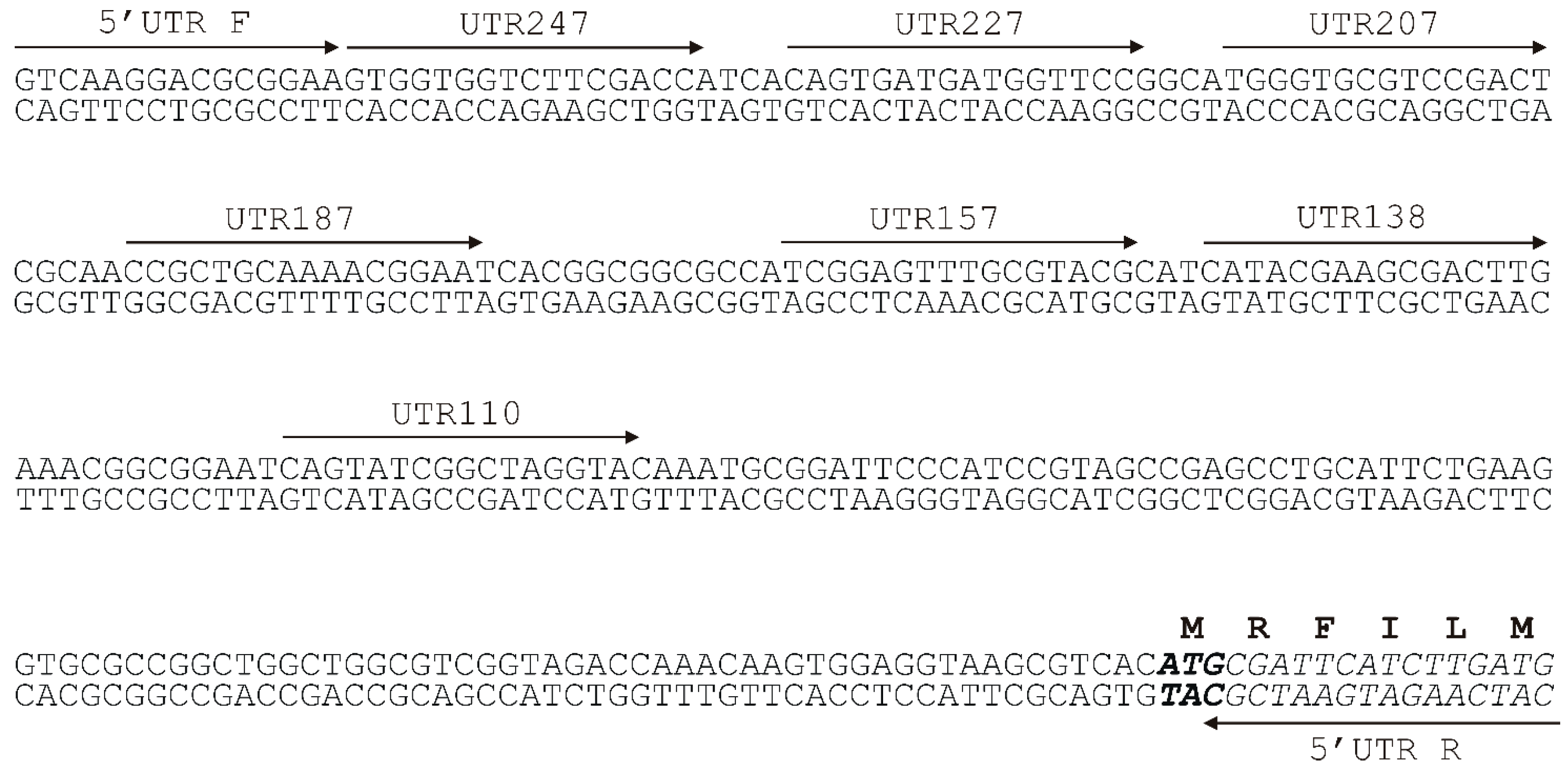 Molecules 23 01530 g002
