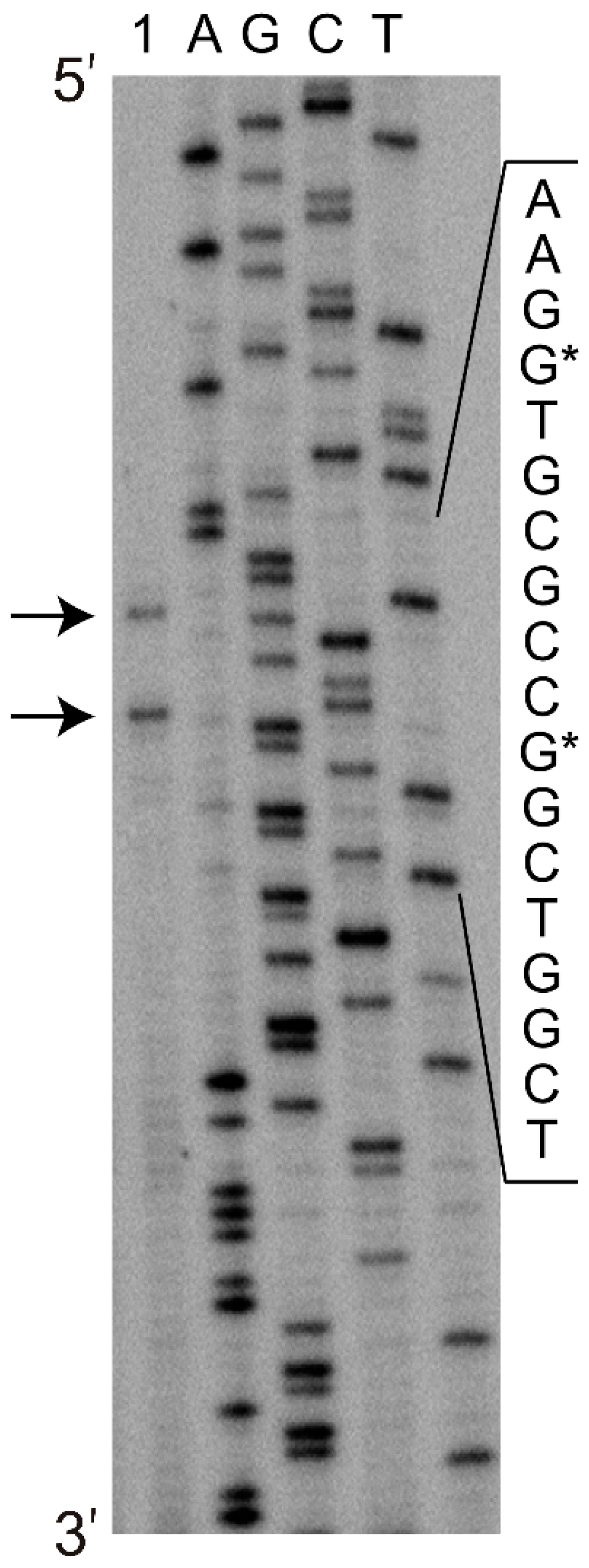 Molecules 23 01530 g003