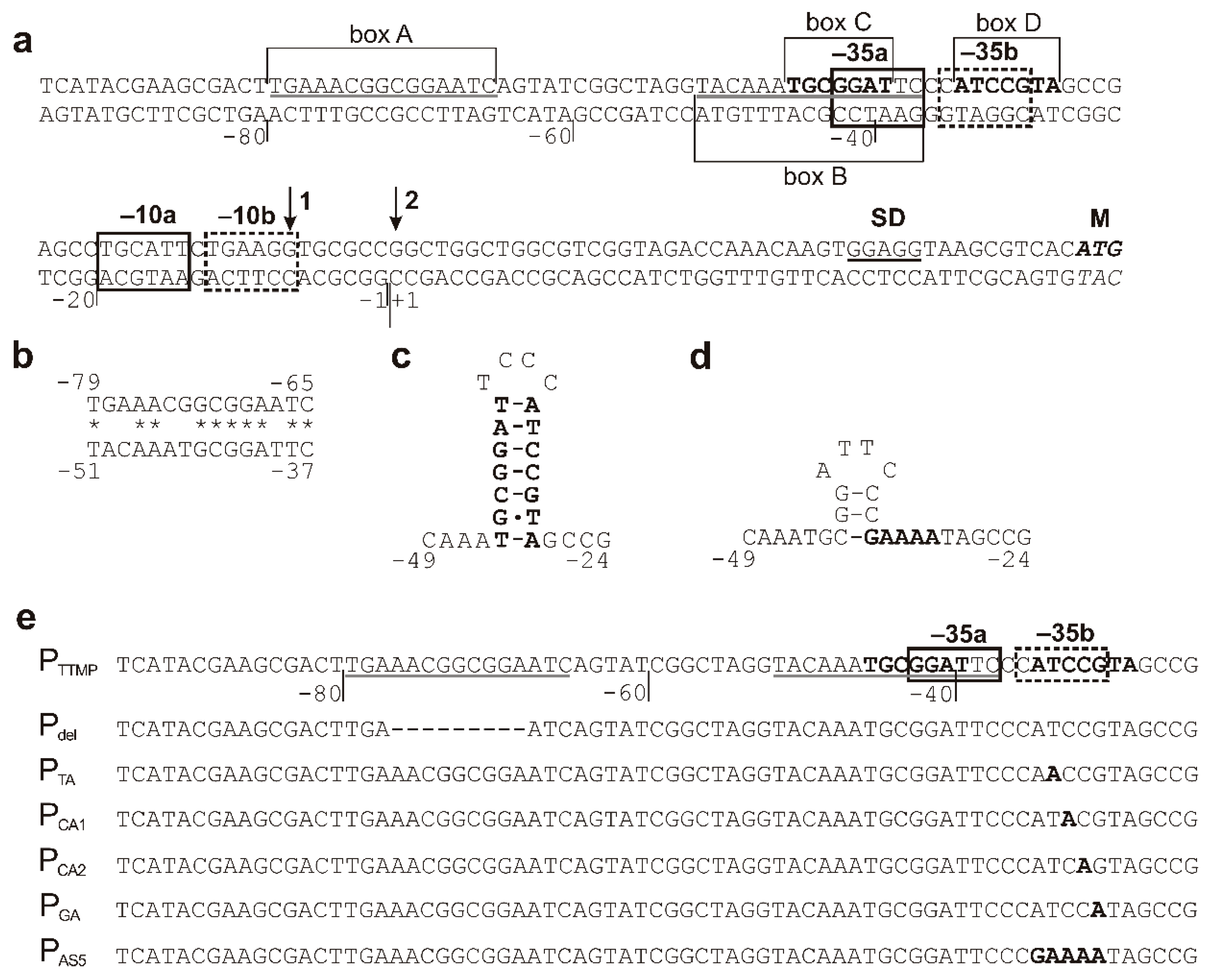 Molecules 23 01530 g004