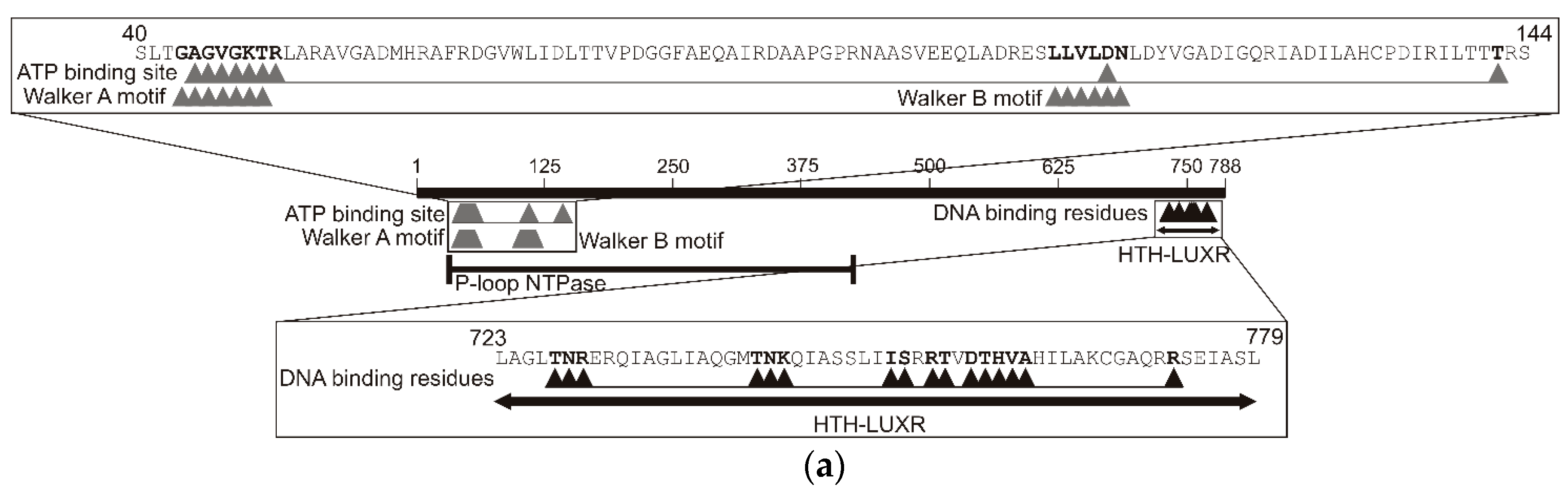 Molecules 23 01530 g006a