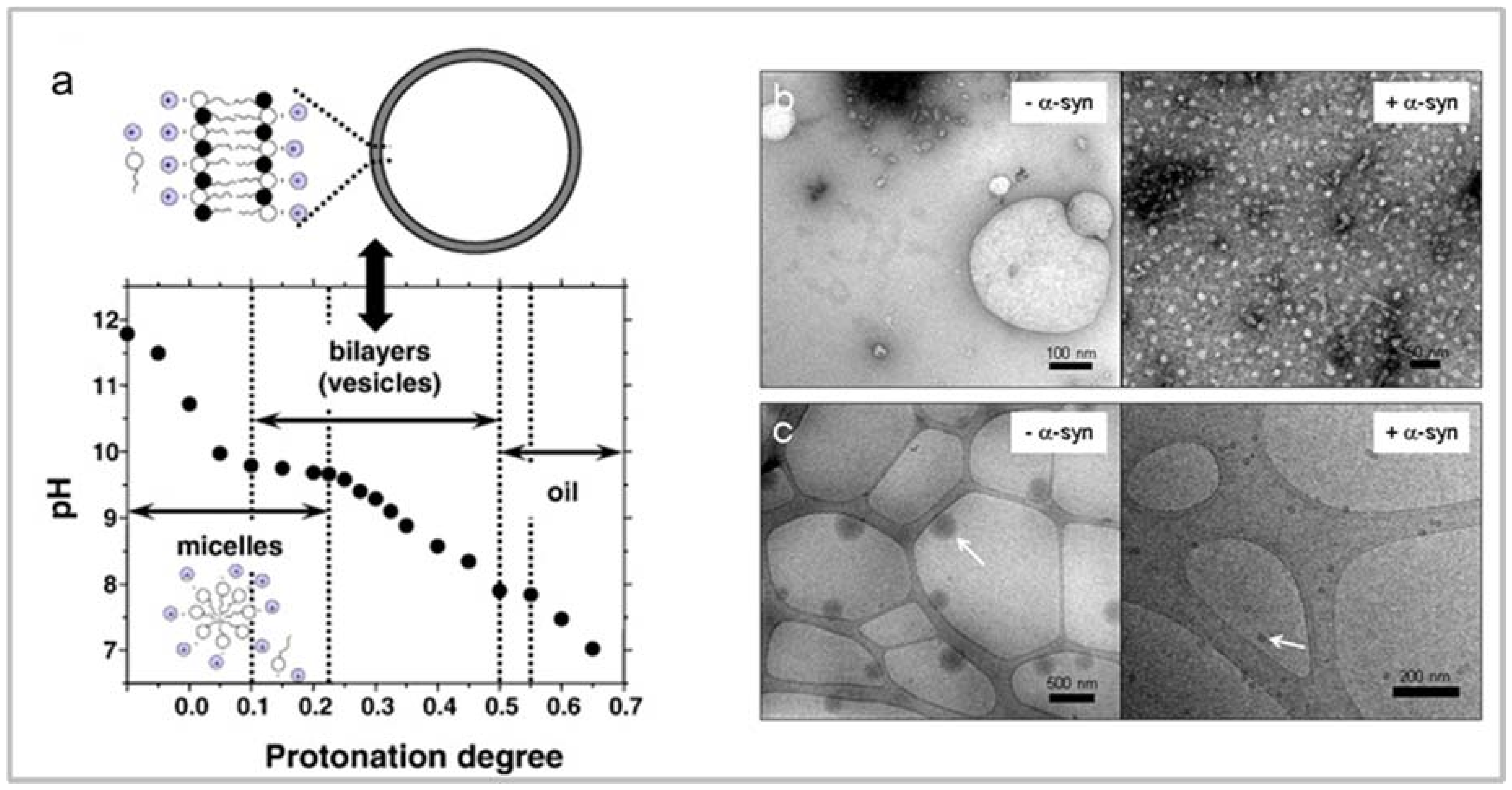 Molecules 23 01531 g003 Molecules 23 01531 g003