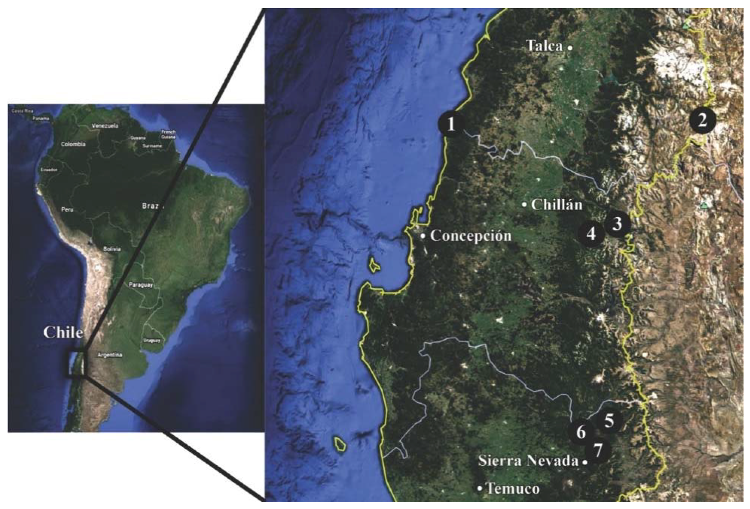 Molecules 23 01532 g002