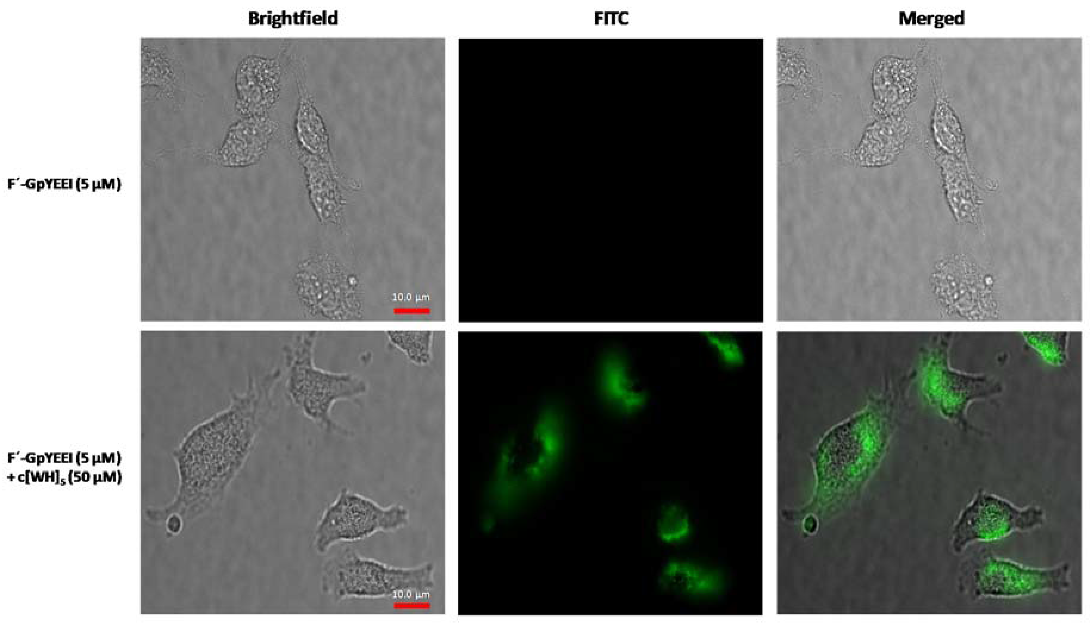 Molecules 23 01536 g005 Molecules 23 01536 g005