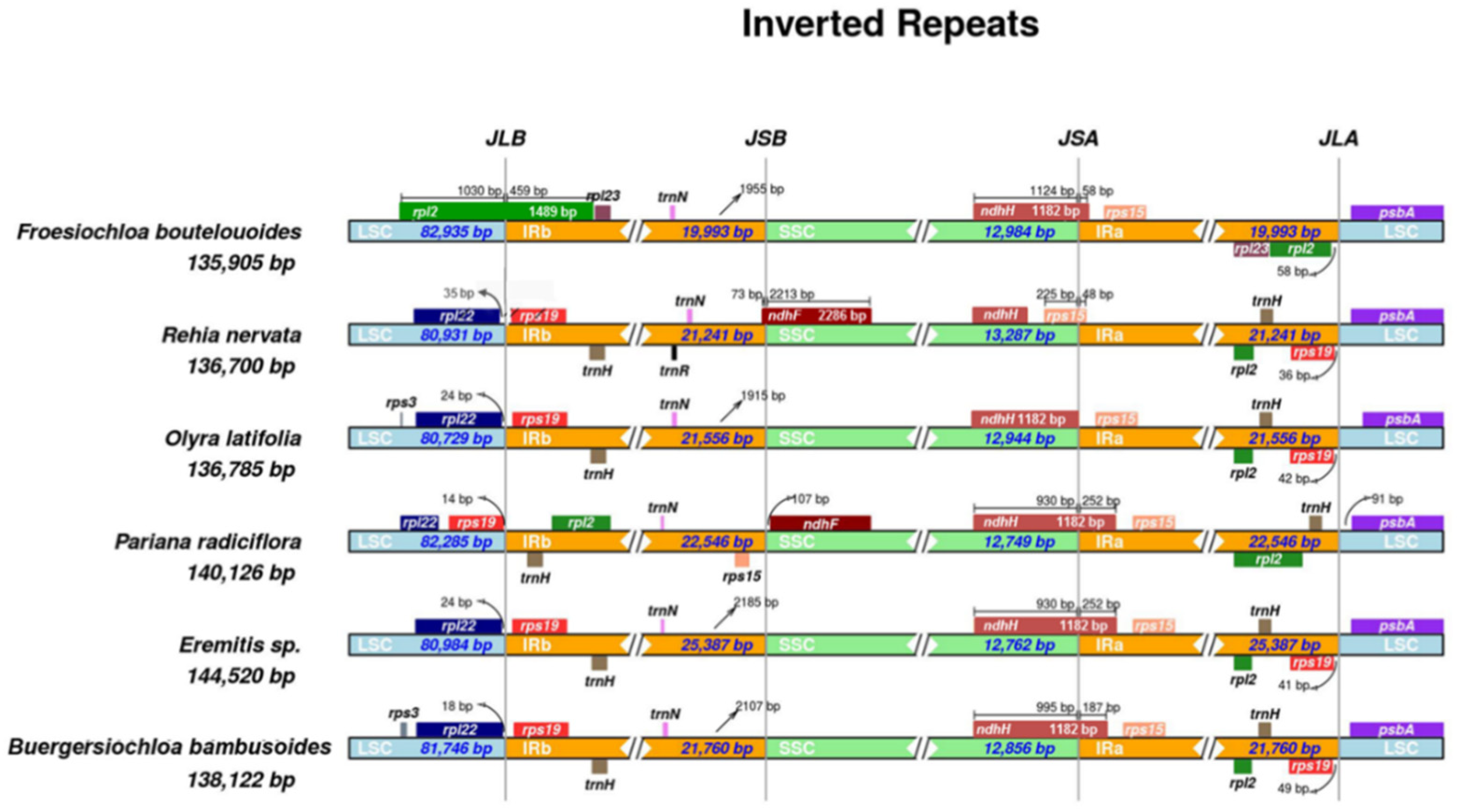 Molecules 23 01537 g004