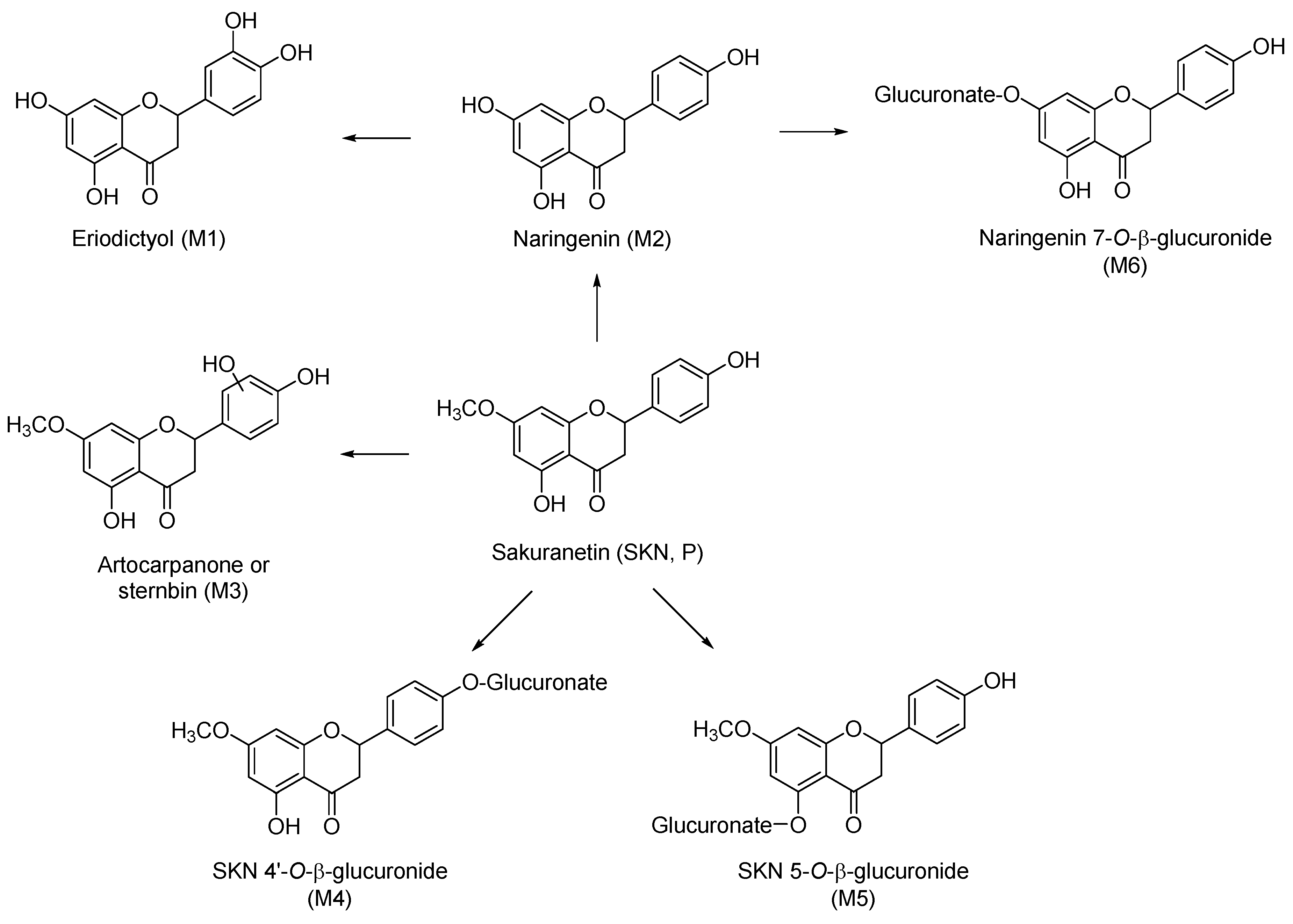 Molecules 23 01542 g003