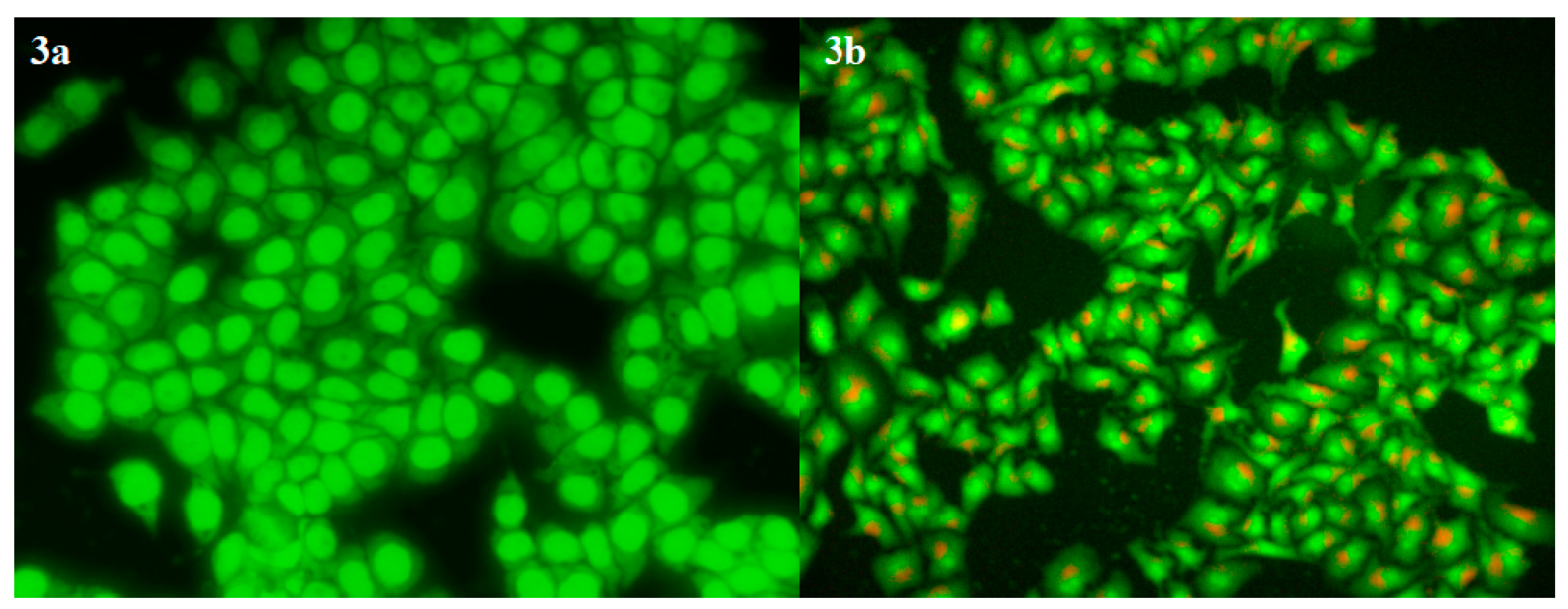 Molecules 23 01543 g003