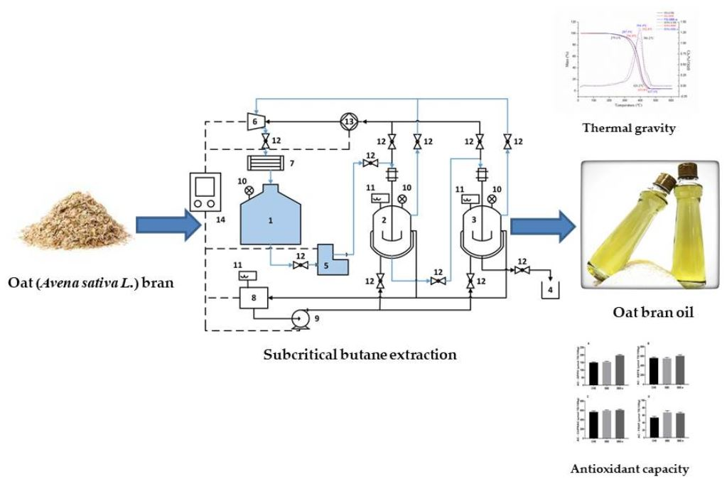 Molecules Free FullText Process Optimization, Characterization and