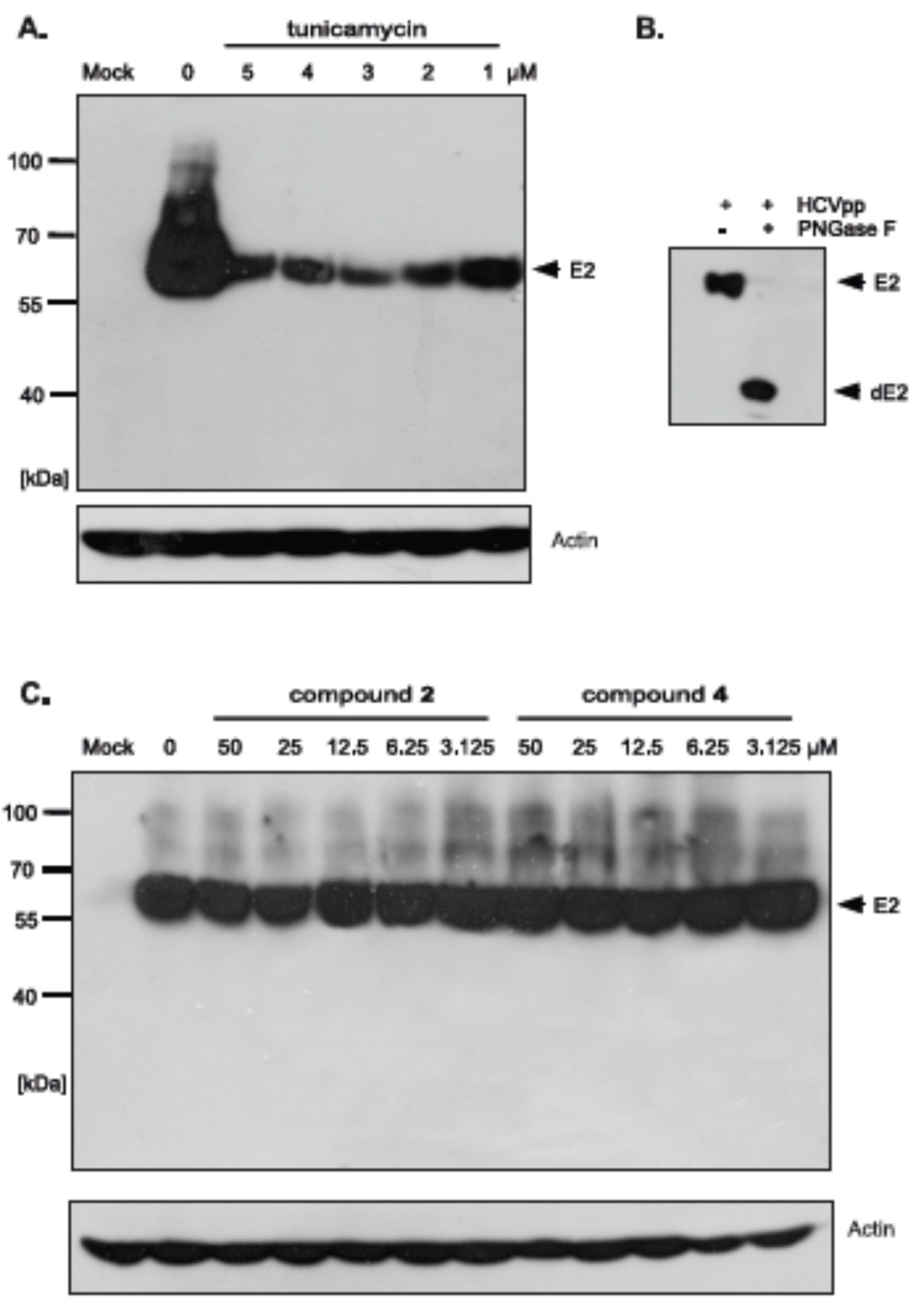Molecules 23 01547 g008