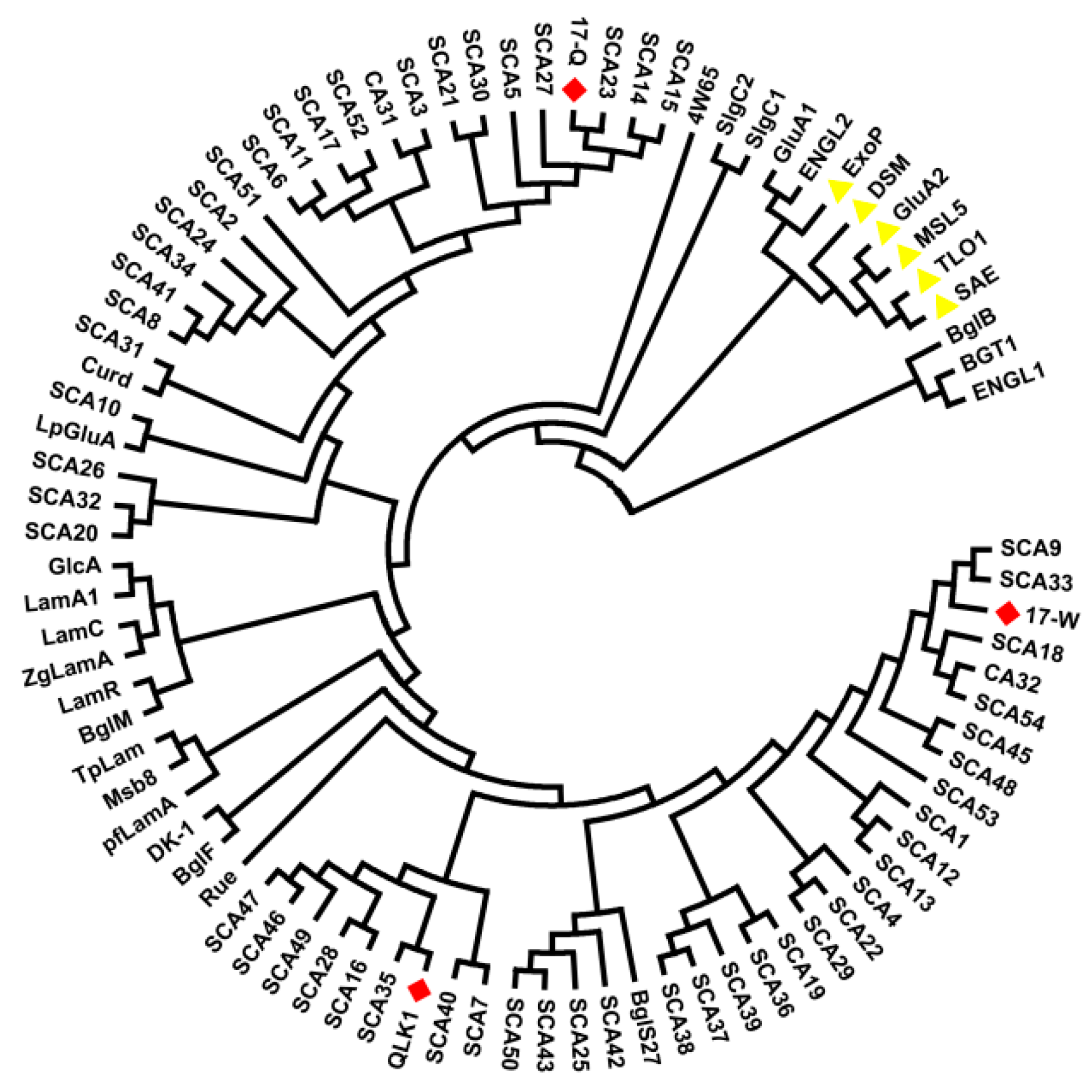 Molecules 23 01555 g008 Molecules 23 01555 g008
