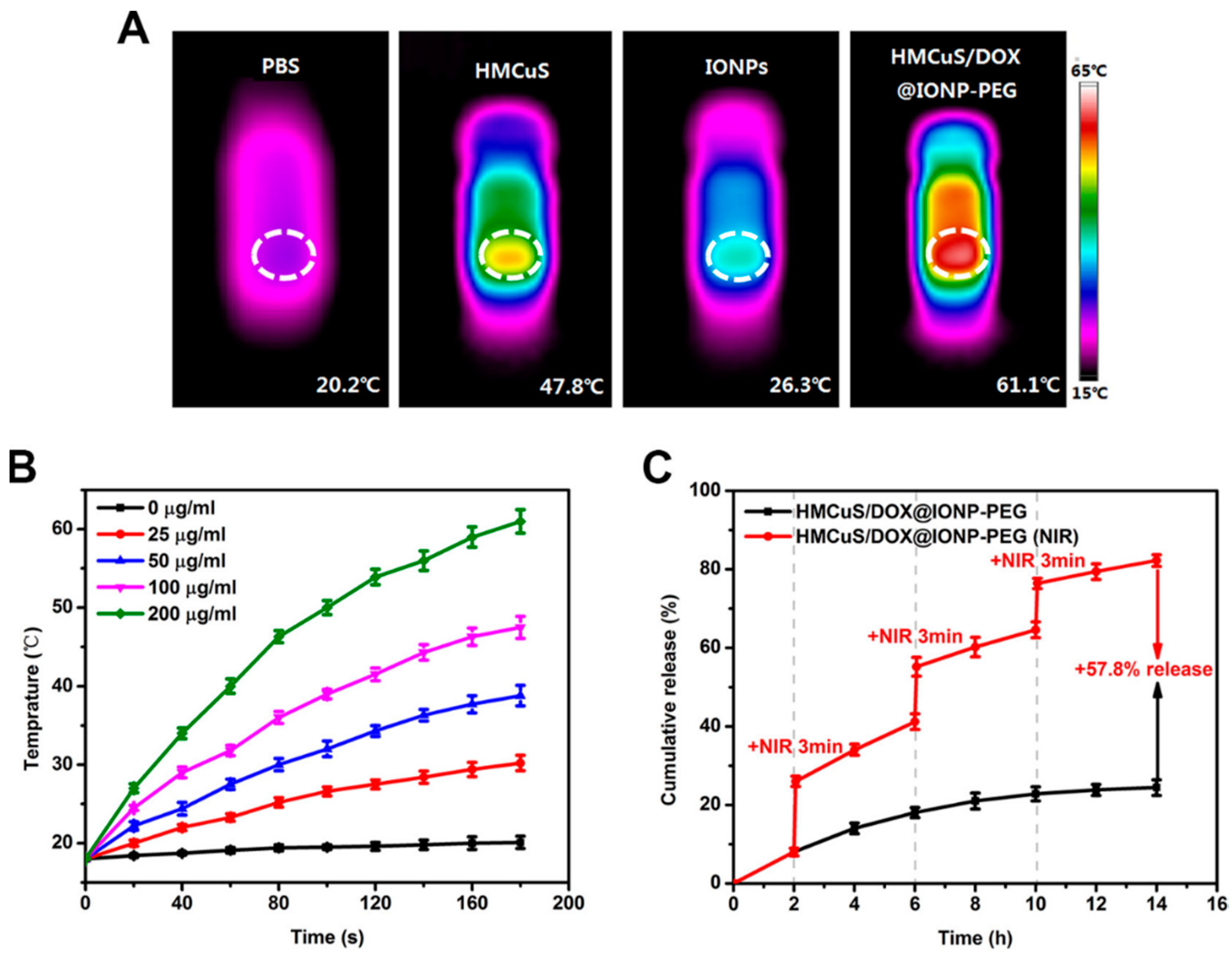 Iron Oxide Nanoparticles in Photothermal Therapy