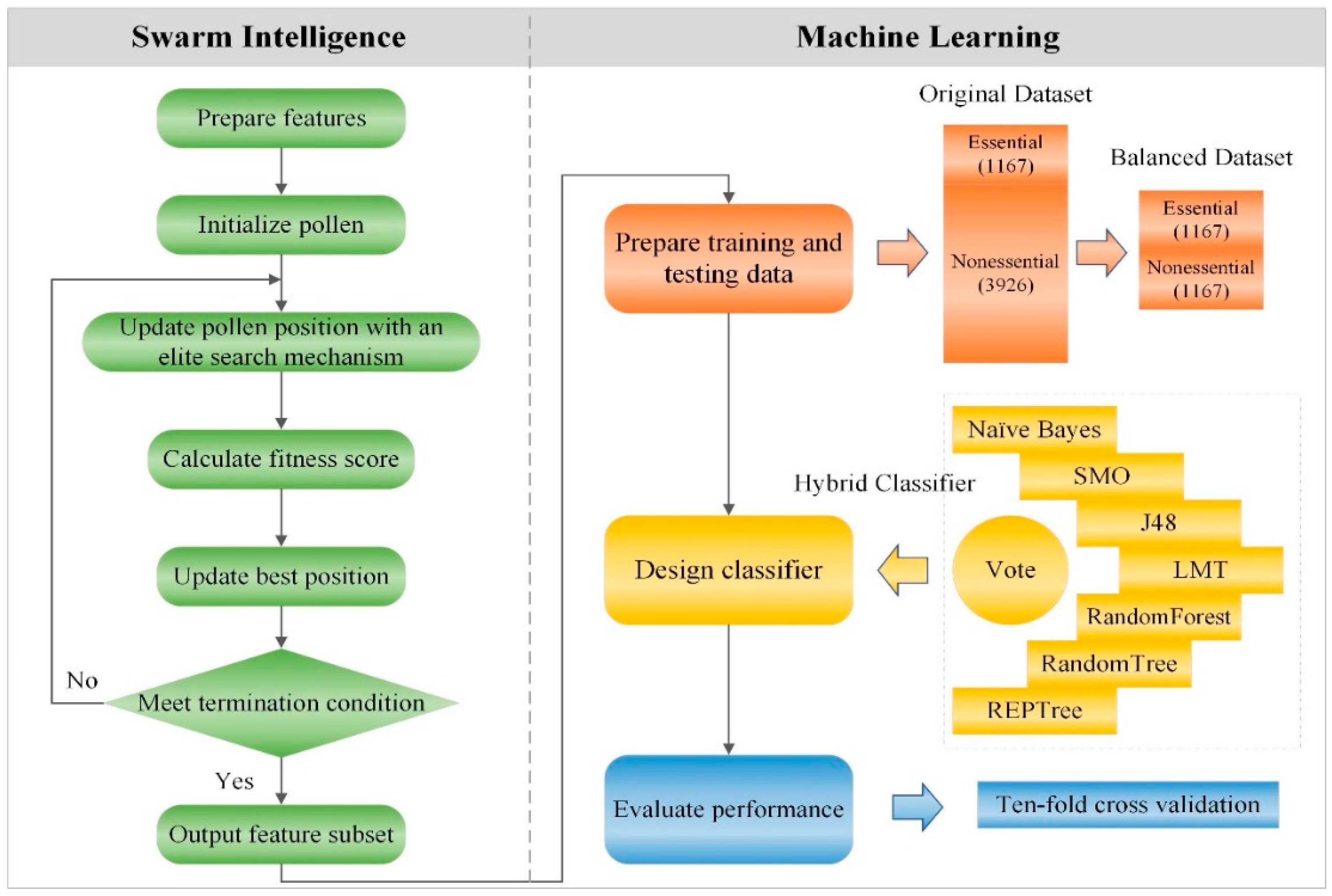 The scheme of learning on-the-fly. An active selection algorithm