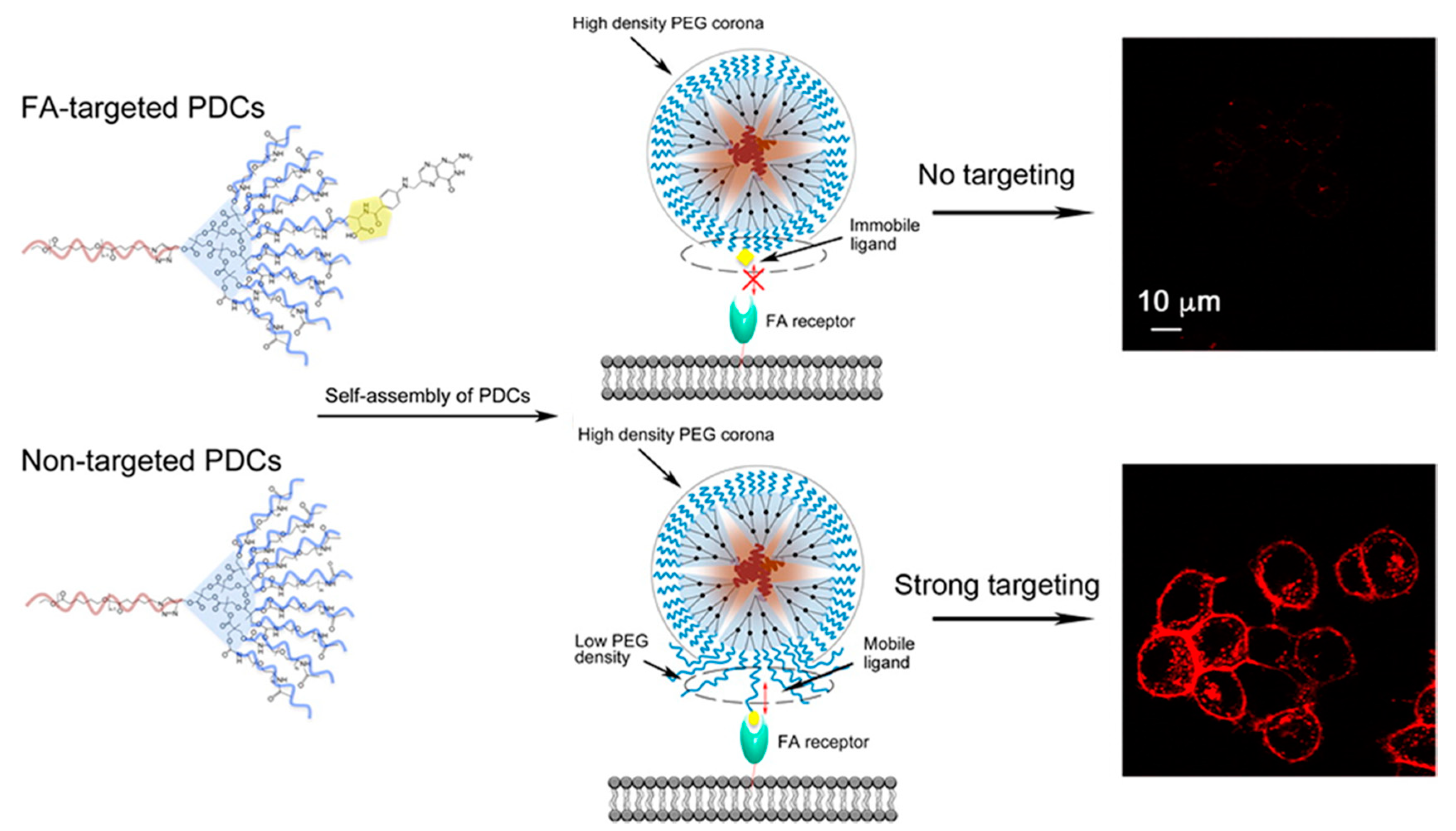 Molecules 23 01570 sch002
