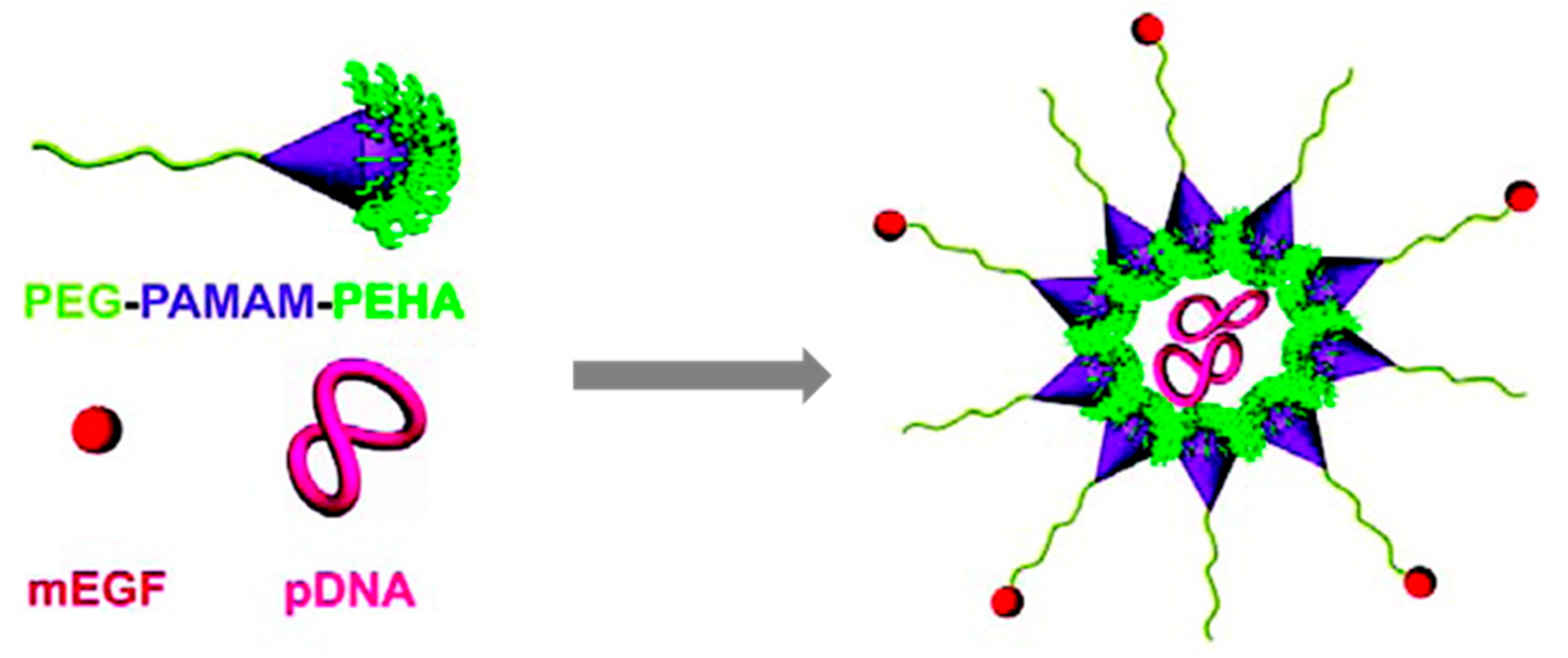 Molecules 23 01570 sch007