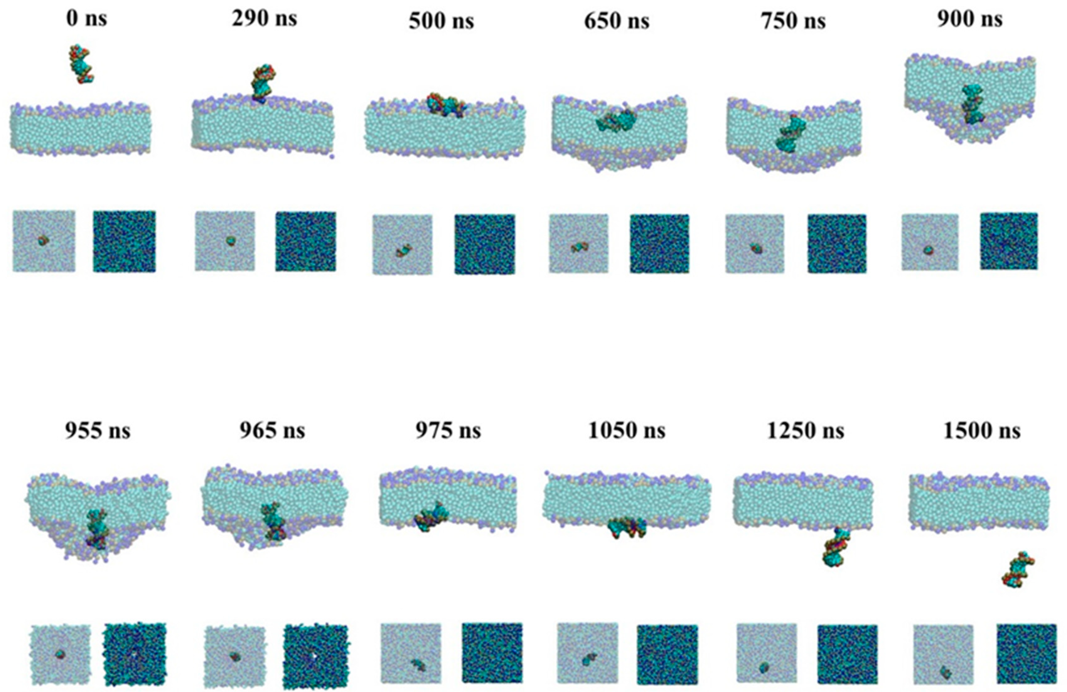 Molecules 23 01586 g002