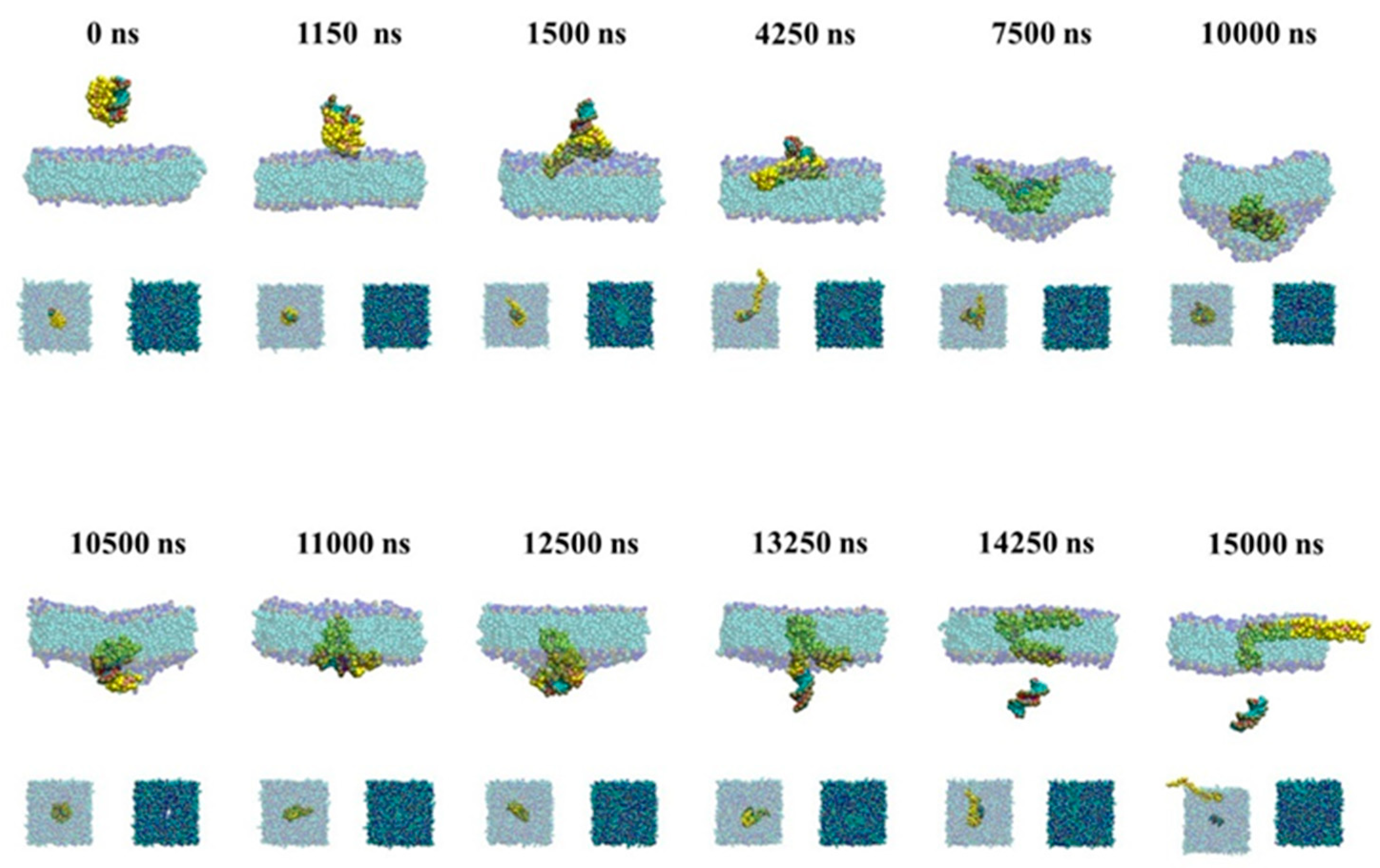 Molecules 23 01586 g005
