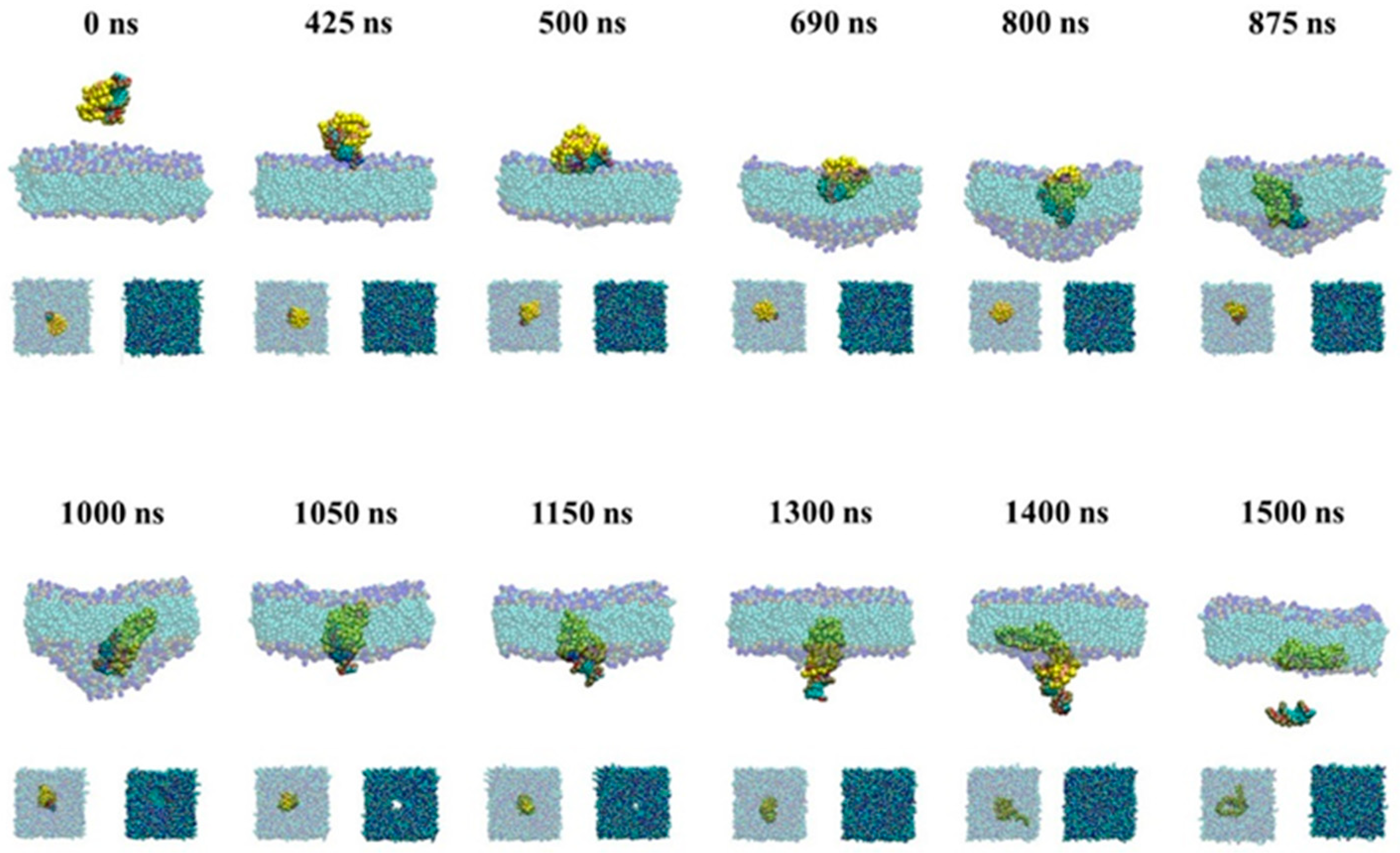 Molecules 23 01586 g006