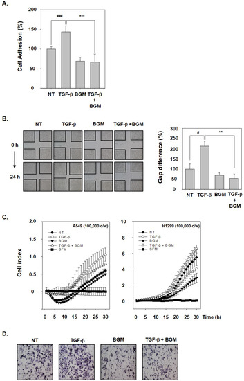 Molecules Free Full Text Bergamottin Suppresses Metastasis Of Lung Cancer Cells Through Abrogation Of Diverse Oncogenic Signaling Cascades And Epithelial To Mesenchymal Transition Html