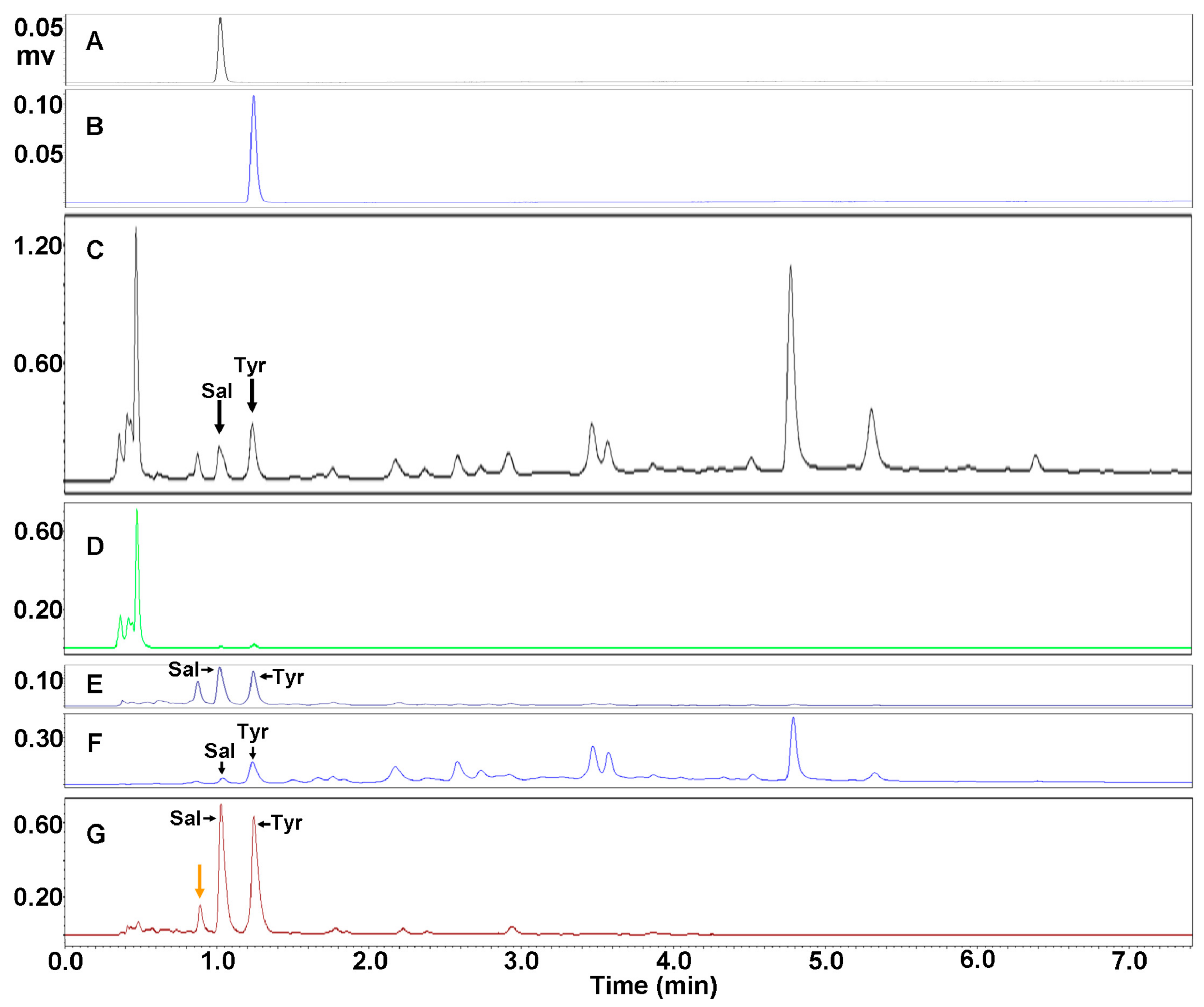 Molecules 23 01602 g002 Molecules 23 01602 g002