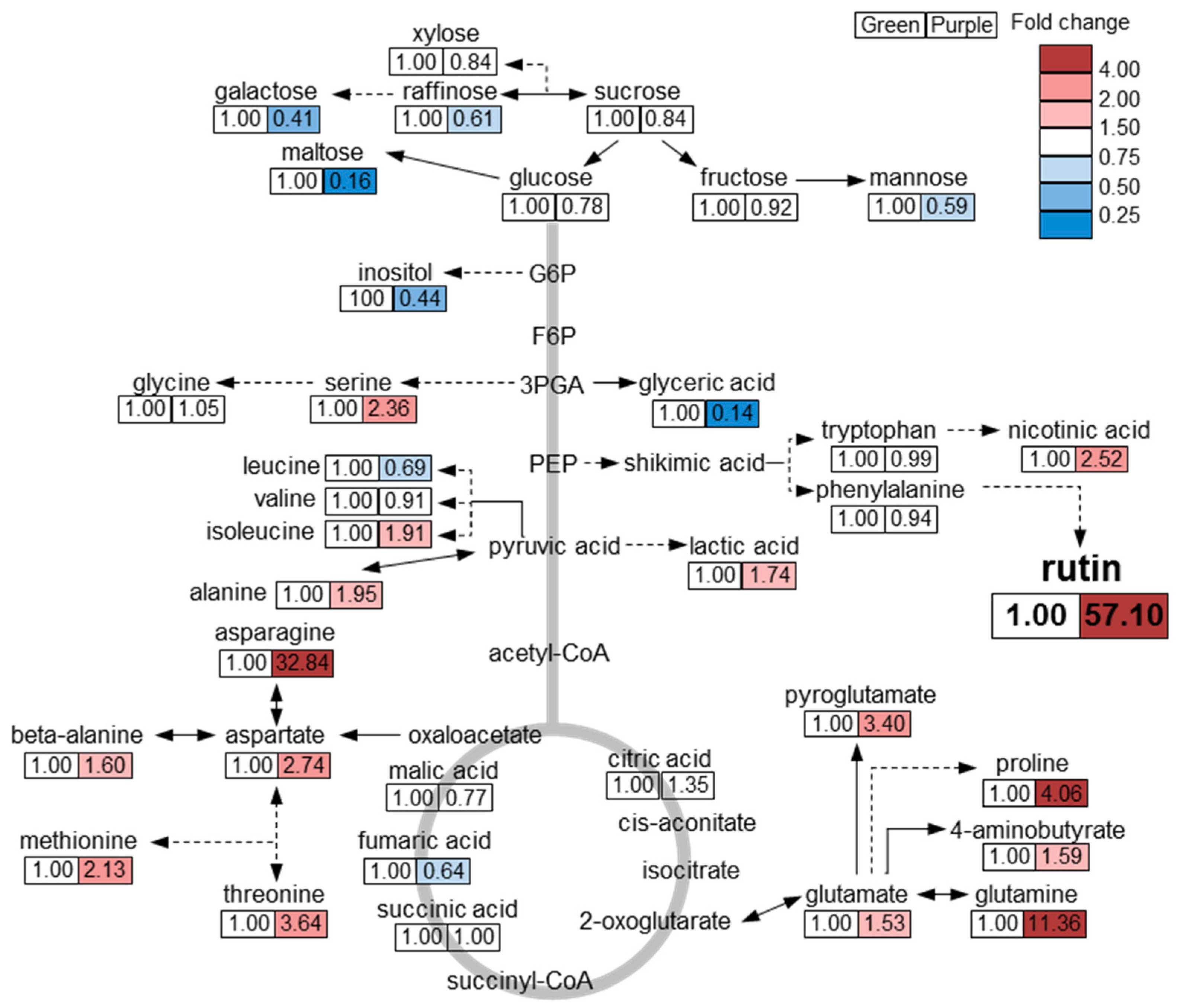 Molecules 23 01613 g004 Molecules 23 01613 g004