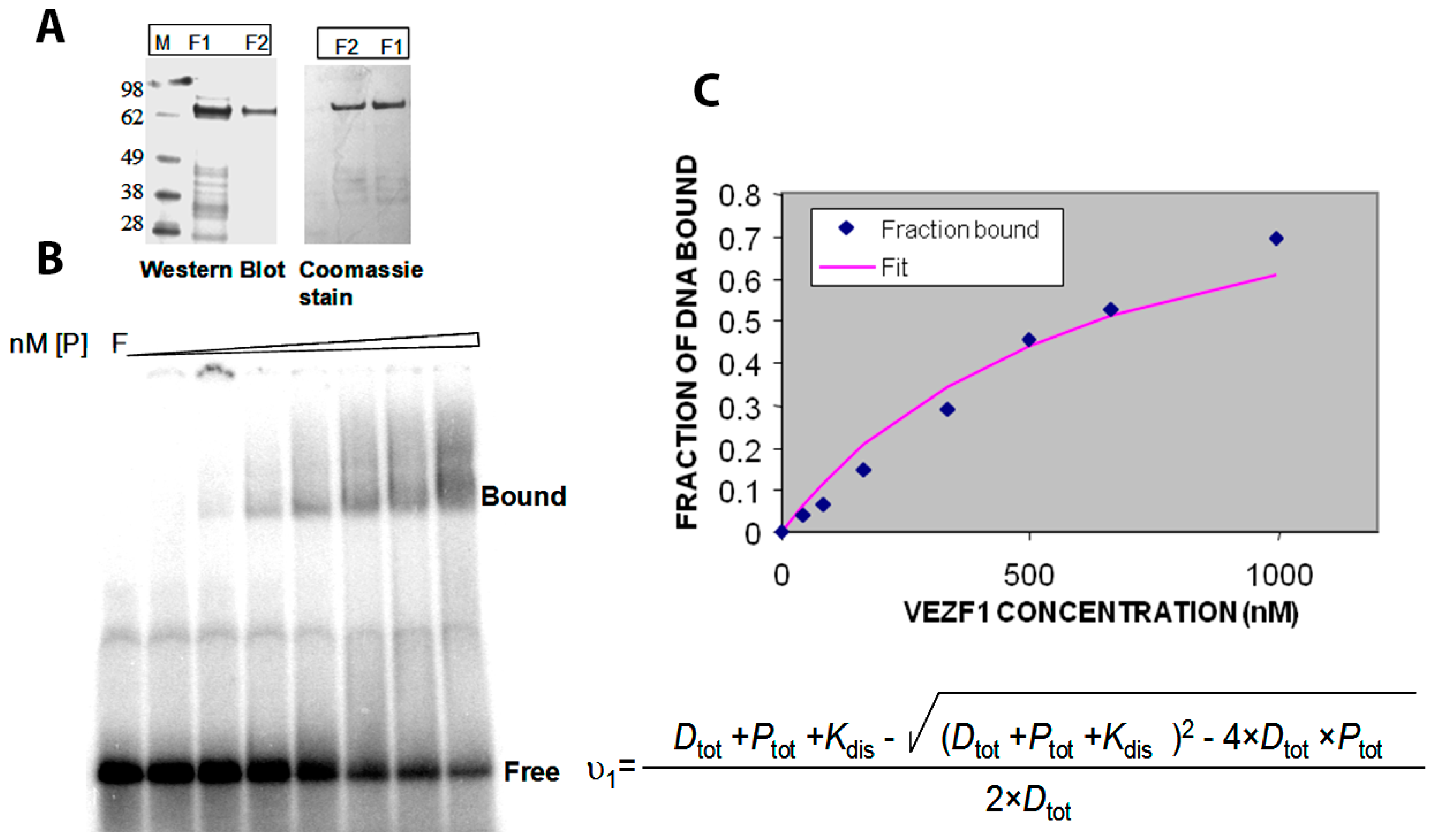 Molecules 23 01615 g004 Molecules 23 01615 g004