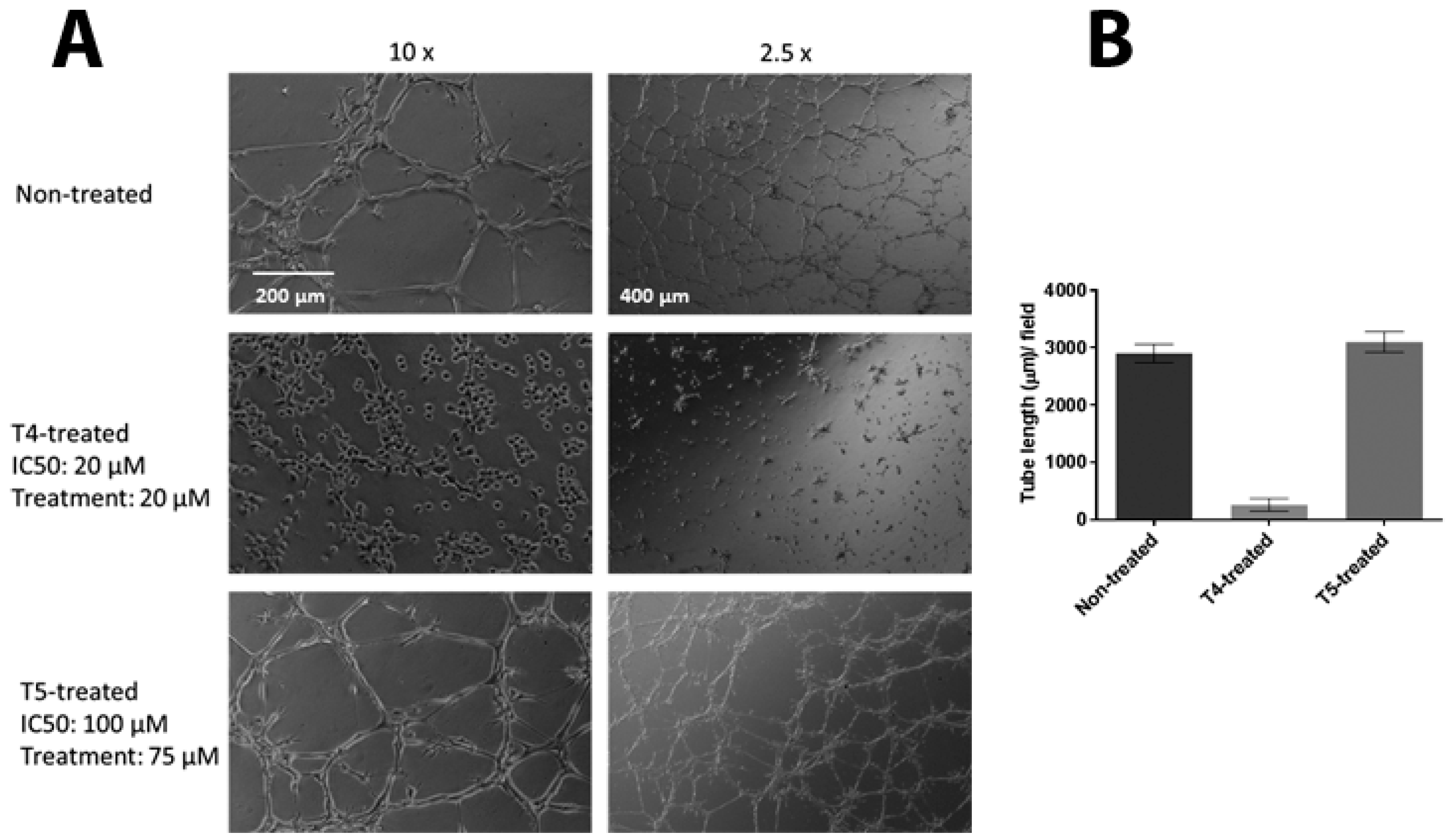 Molecules 23 01615 g007 Molecules 23 01615 g007