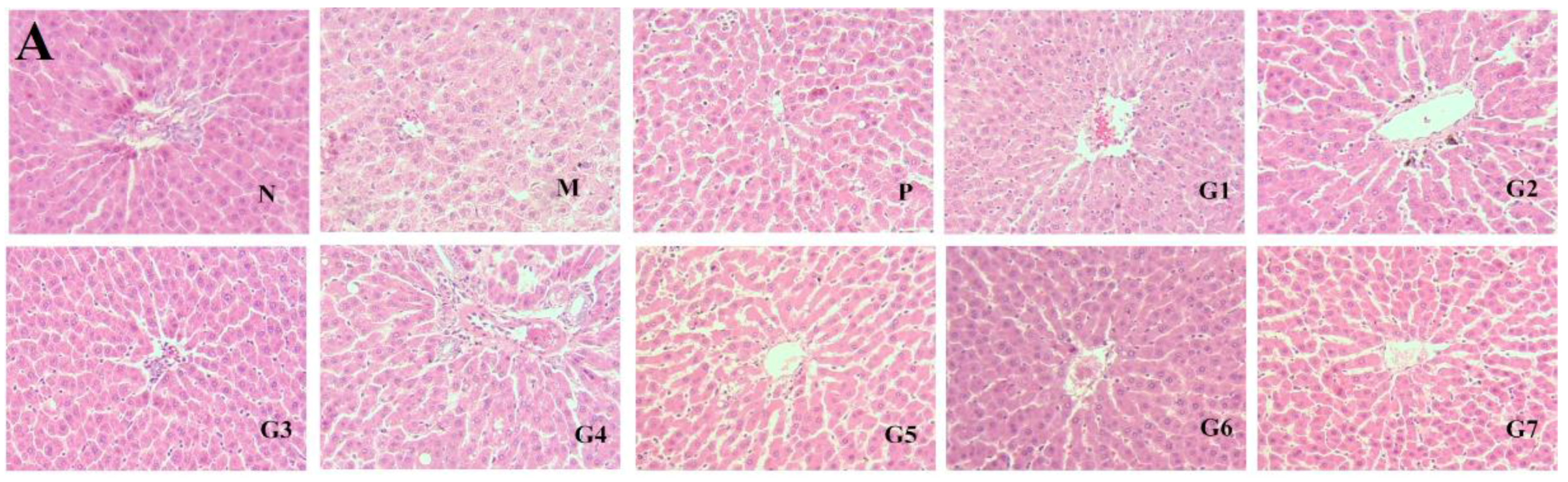 Molecules 23 01623 g005a
