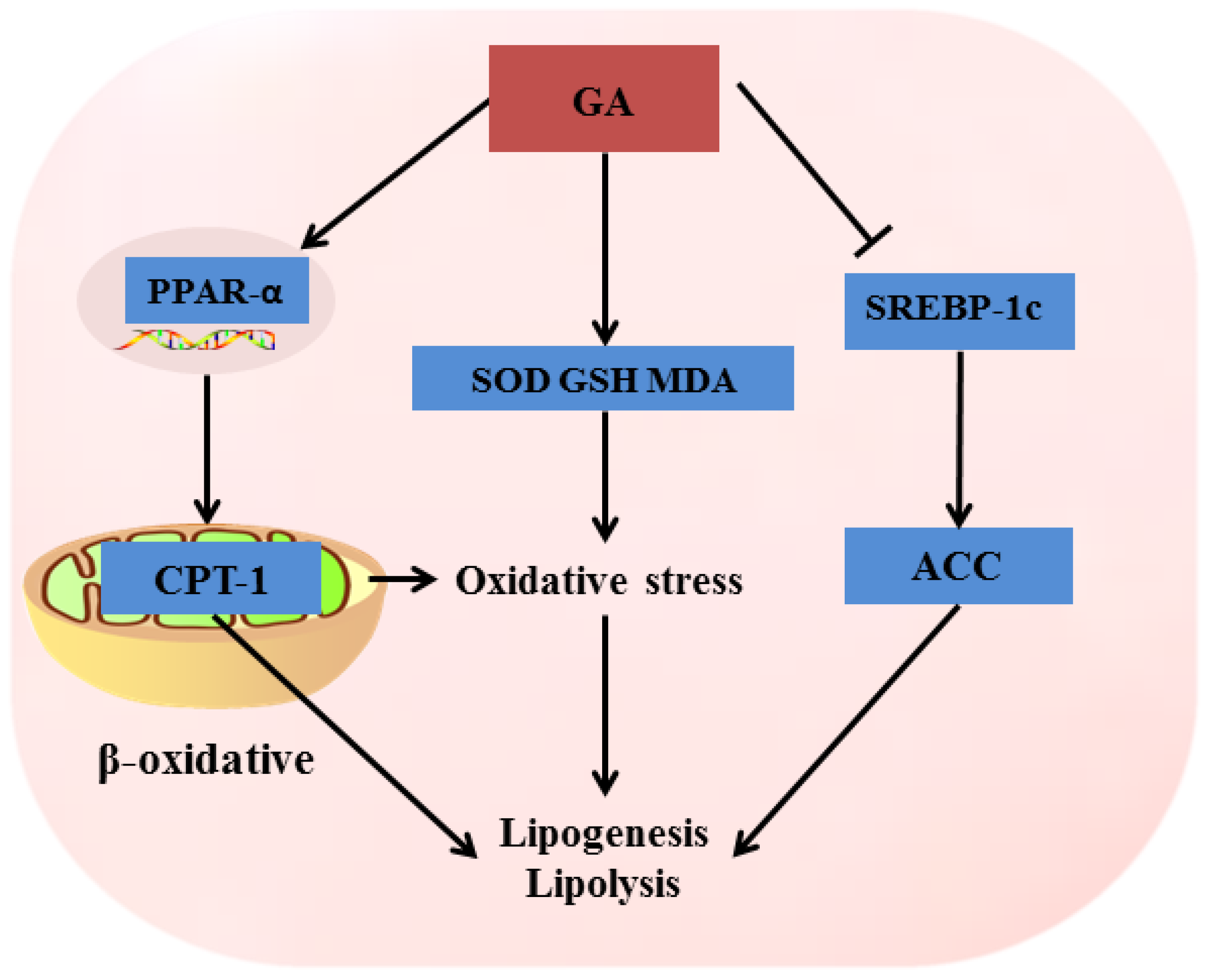 Molecules 23 01623 g008