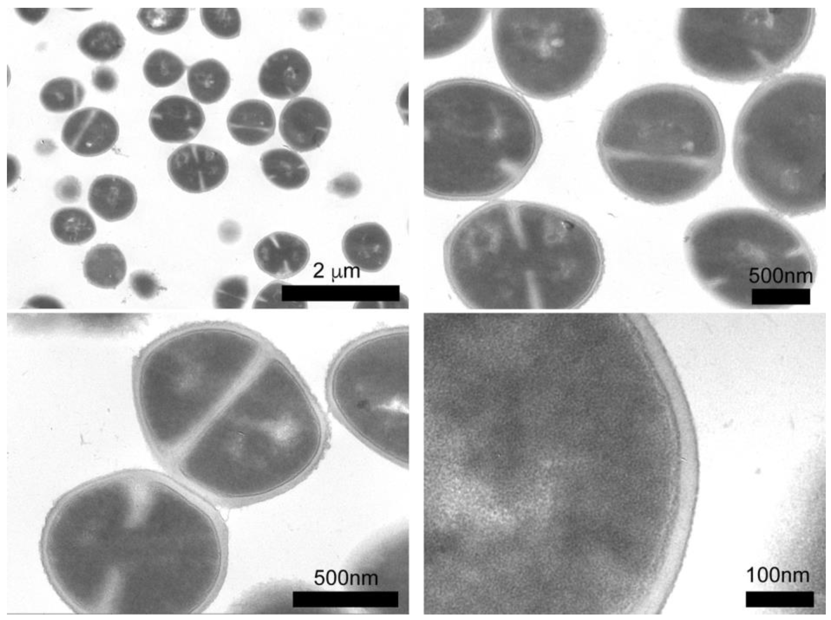 Molecules 23 01629 g005 Molecules 23 01629 g005