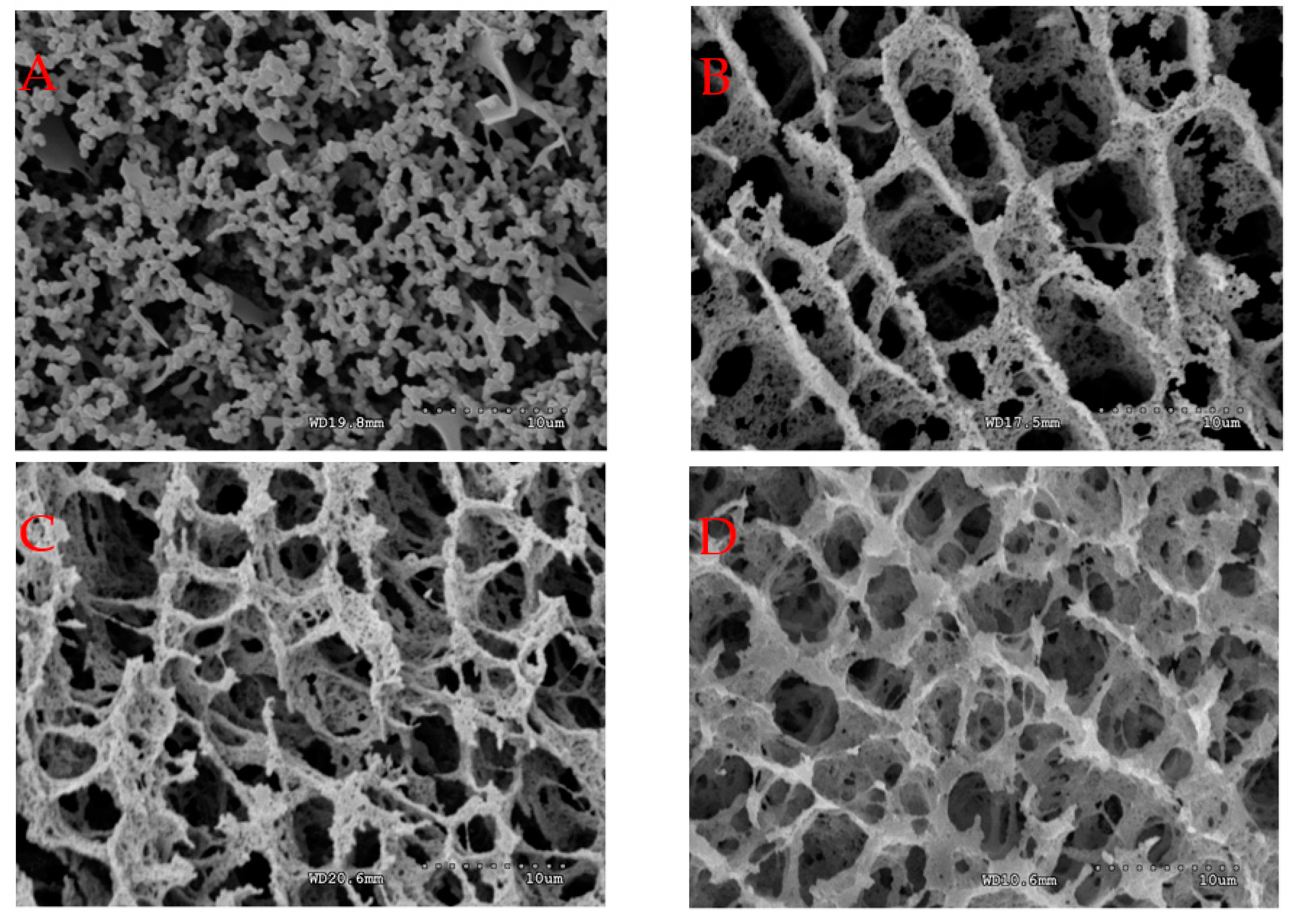 Molecules 23 01632 g002a Molecules 23 01632 g002a