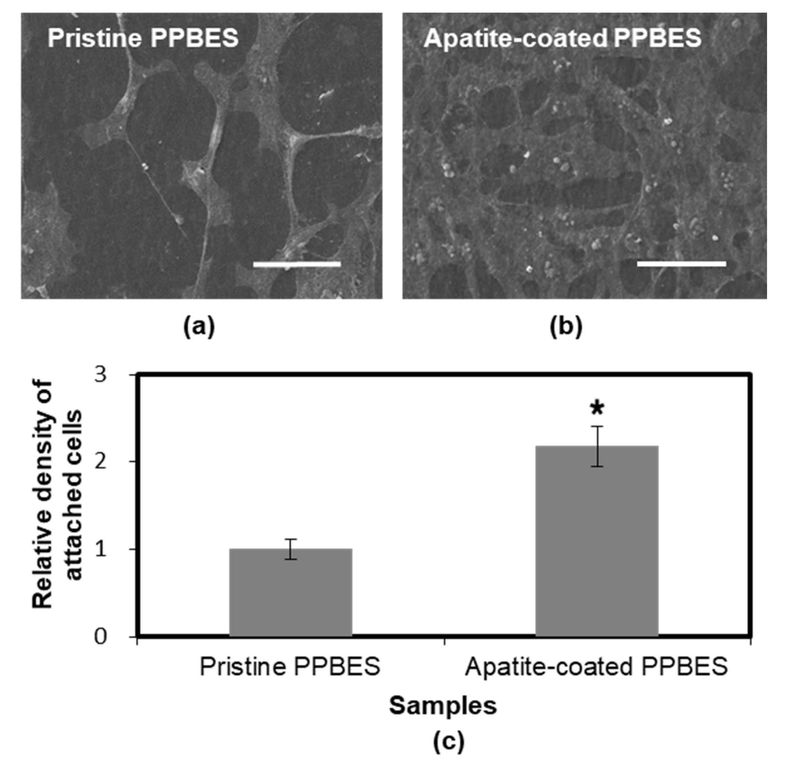 Molecules 23 01643 g008