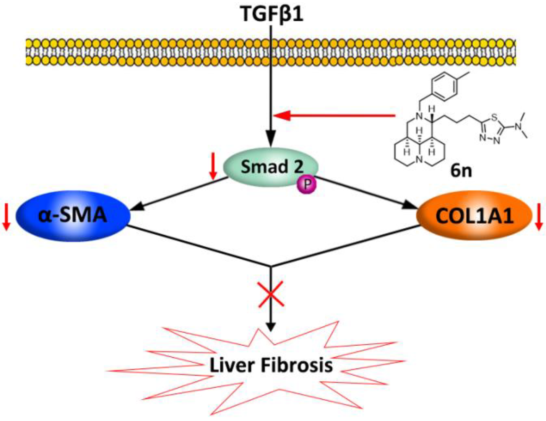 Molecules 23 01644 g004