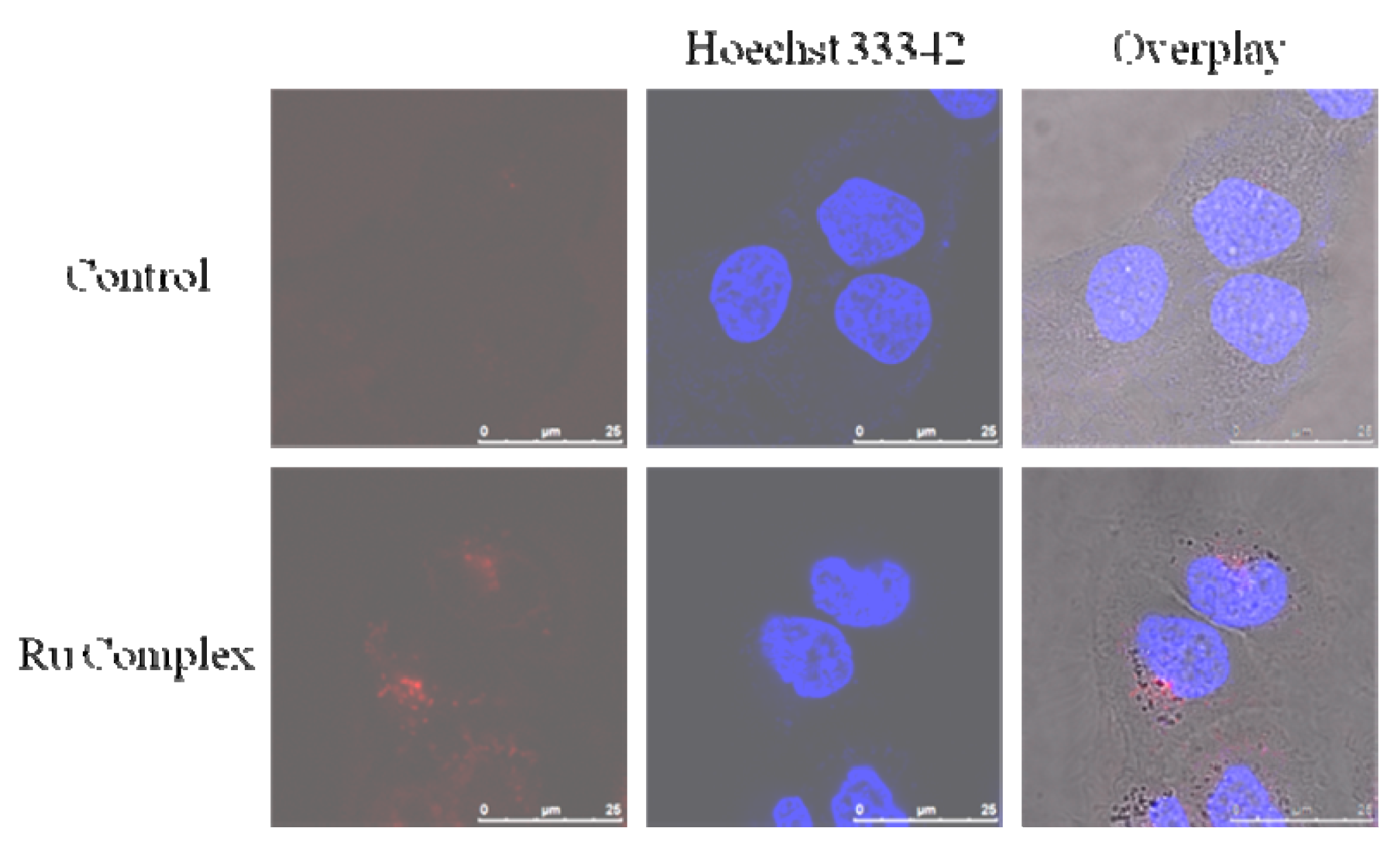 Molecules 23 01649 g003 Molecules 23 01649 g003