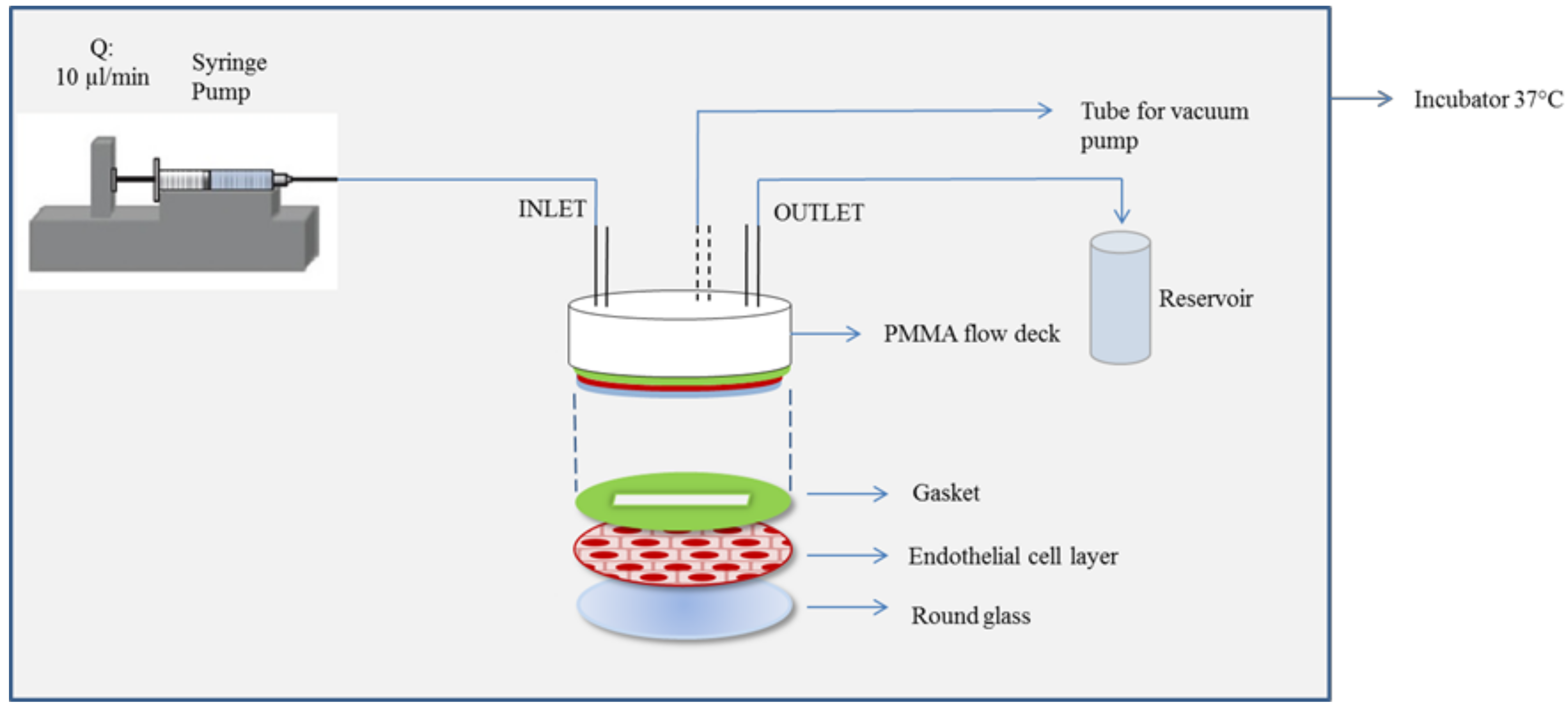 Molecules 23 01655 g005