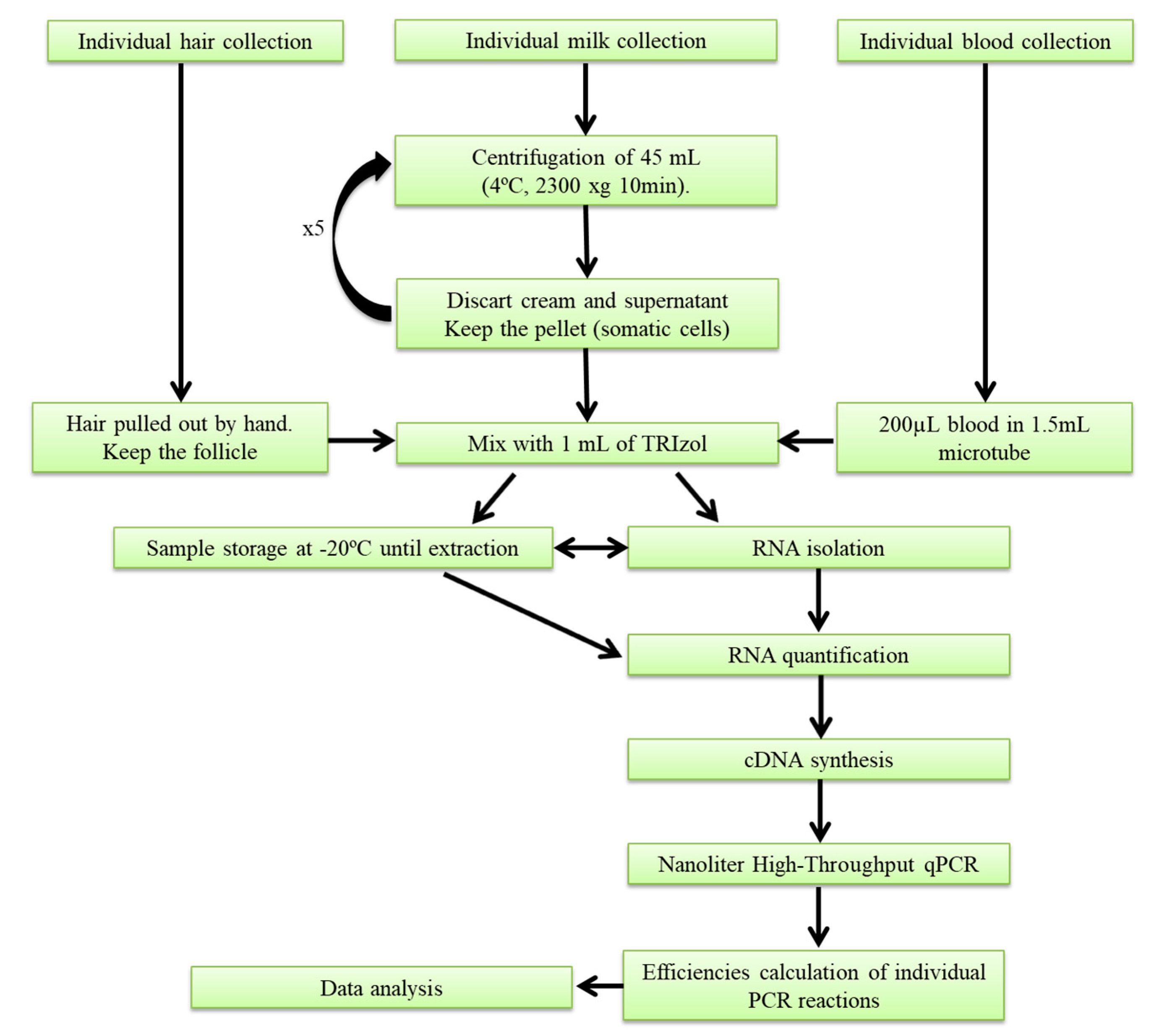 Molecules 23 01708 g005 Molecules 23 01708 g005