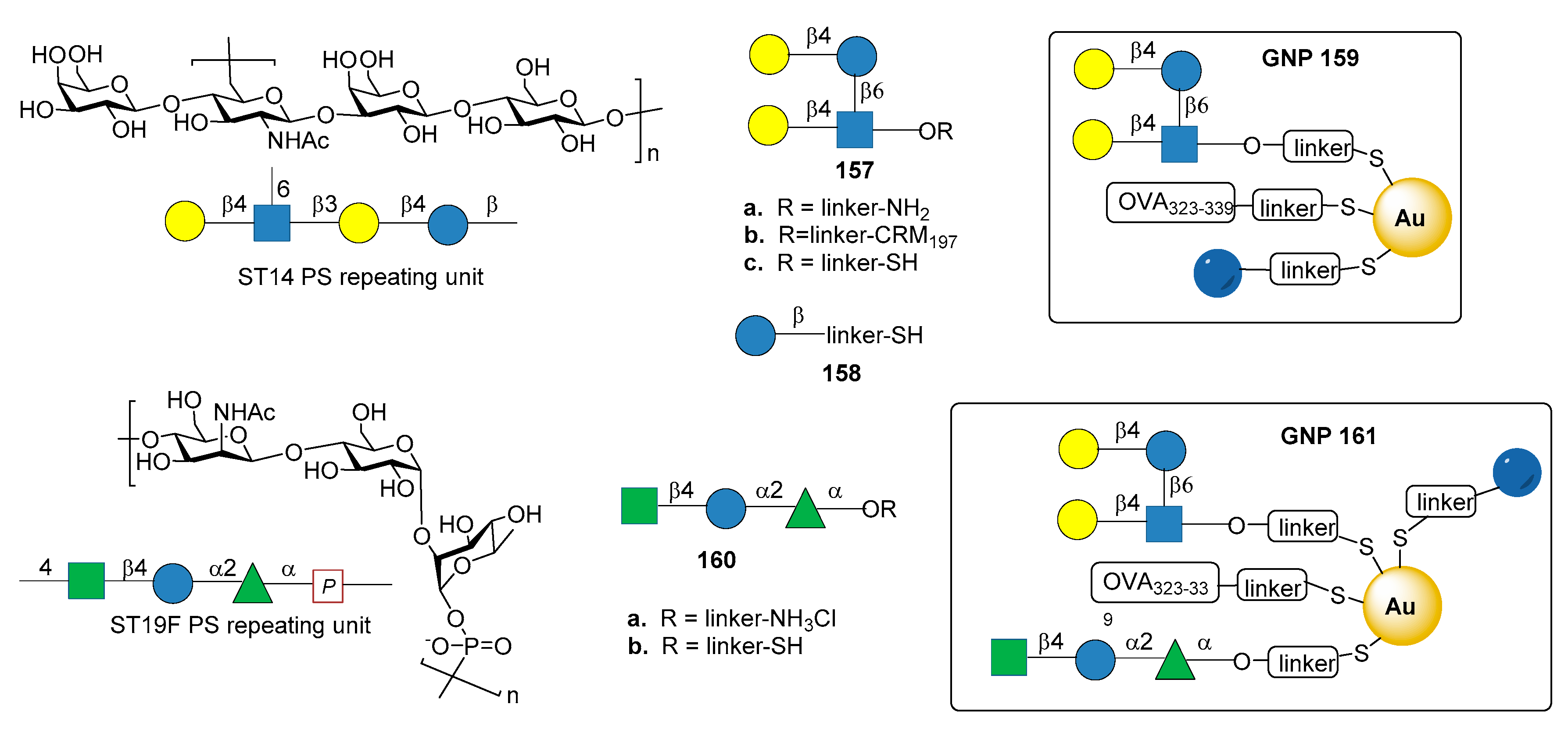 Molecules Free Full Text Recent Advances In The Synthesis Of Glycoconjugates For Vaccine Development Html