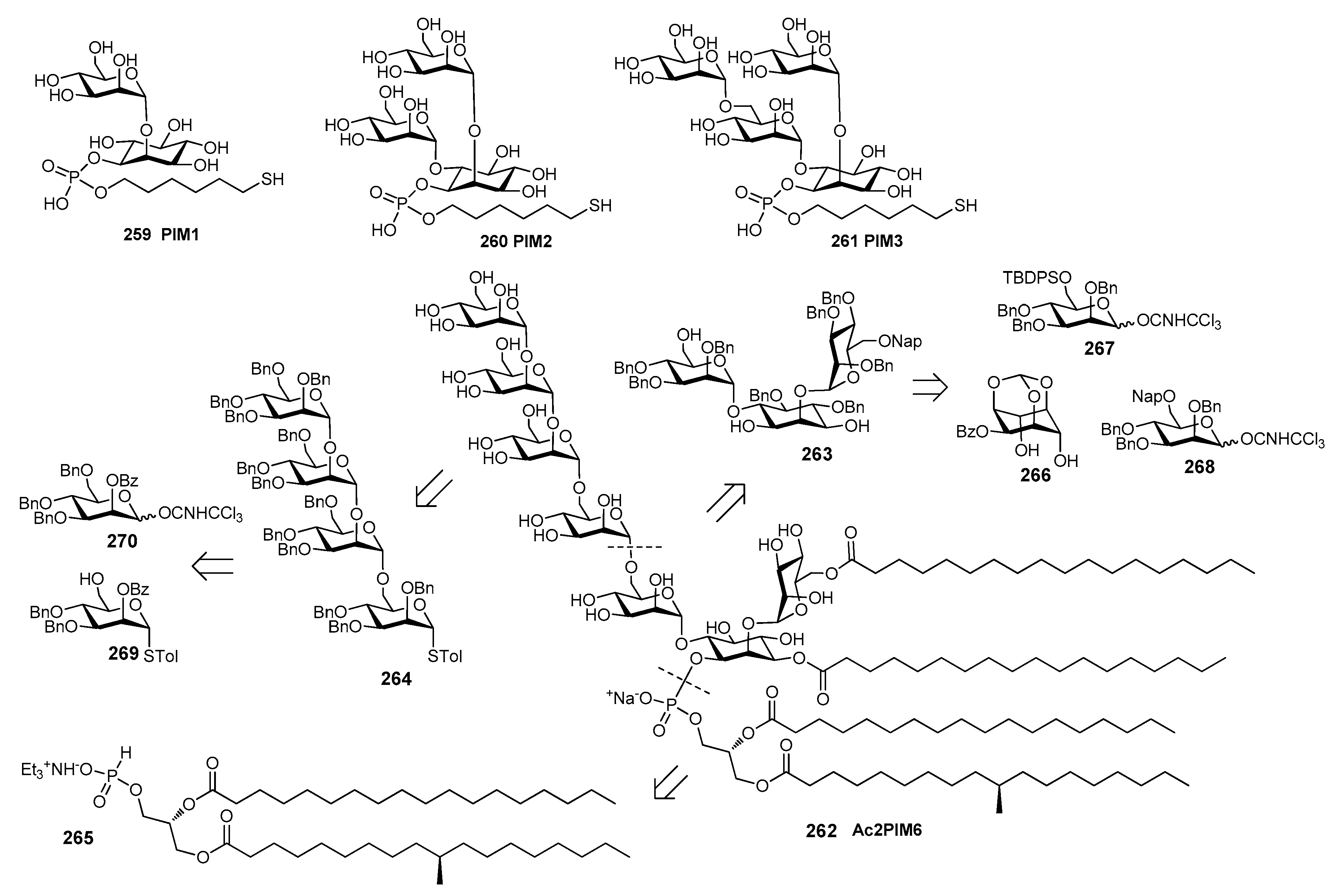 Molecules Free Full Text Recent Advances In The Synthesis Of Glycoconjugates For Vaccine Development