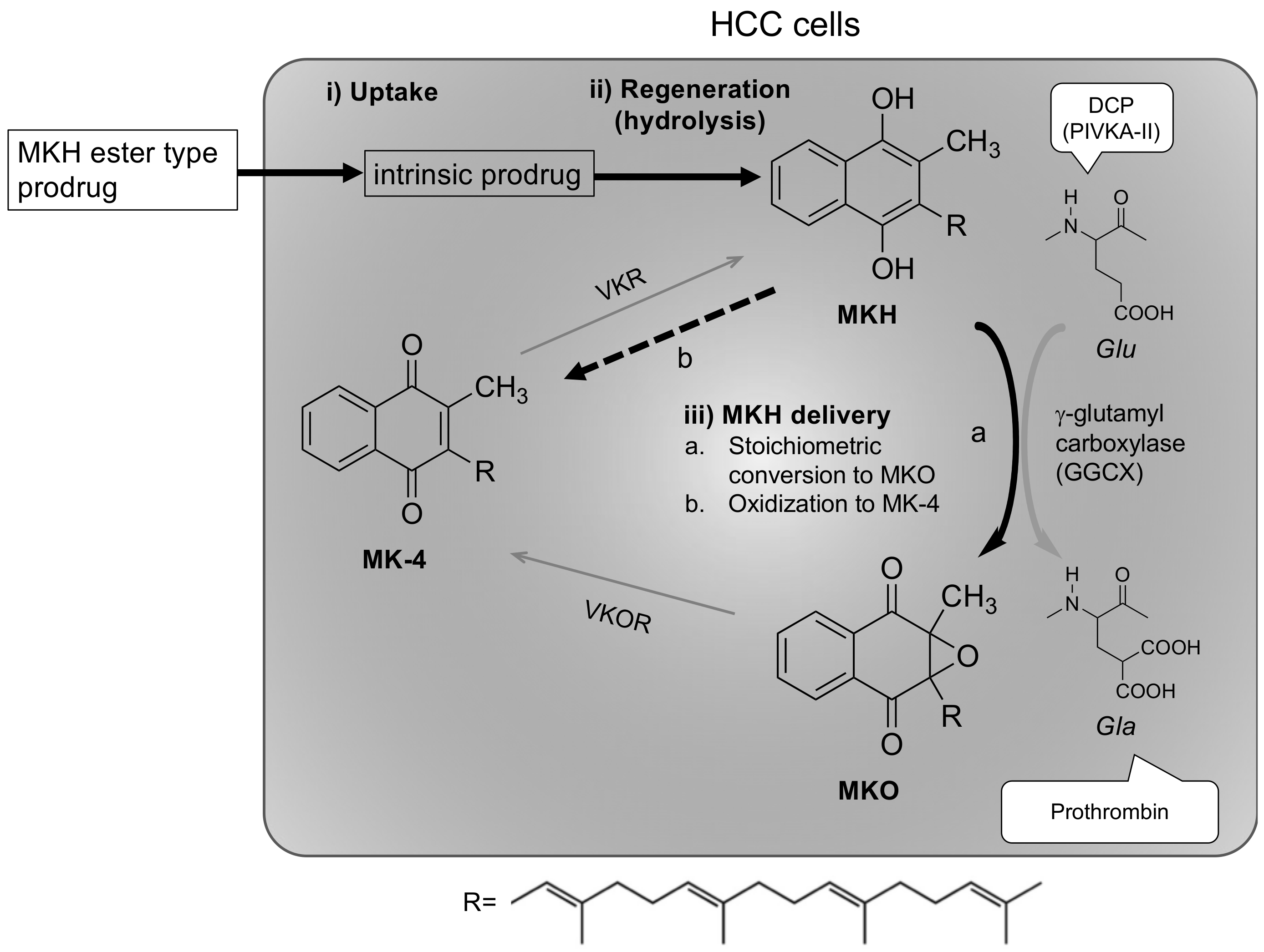 Molecules 23 01738 g001 Molecules 23 01738 g001