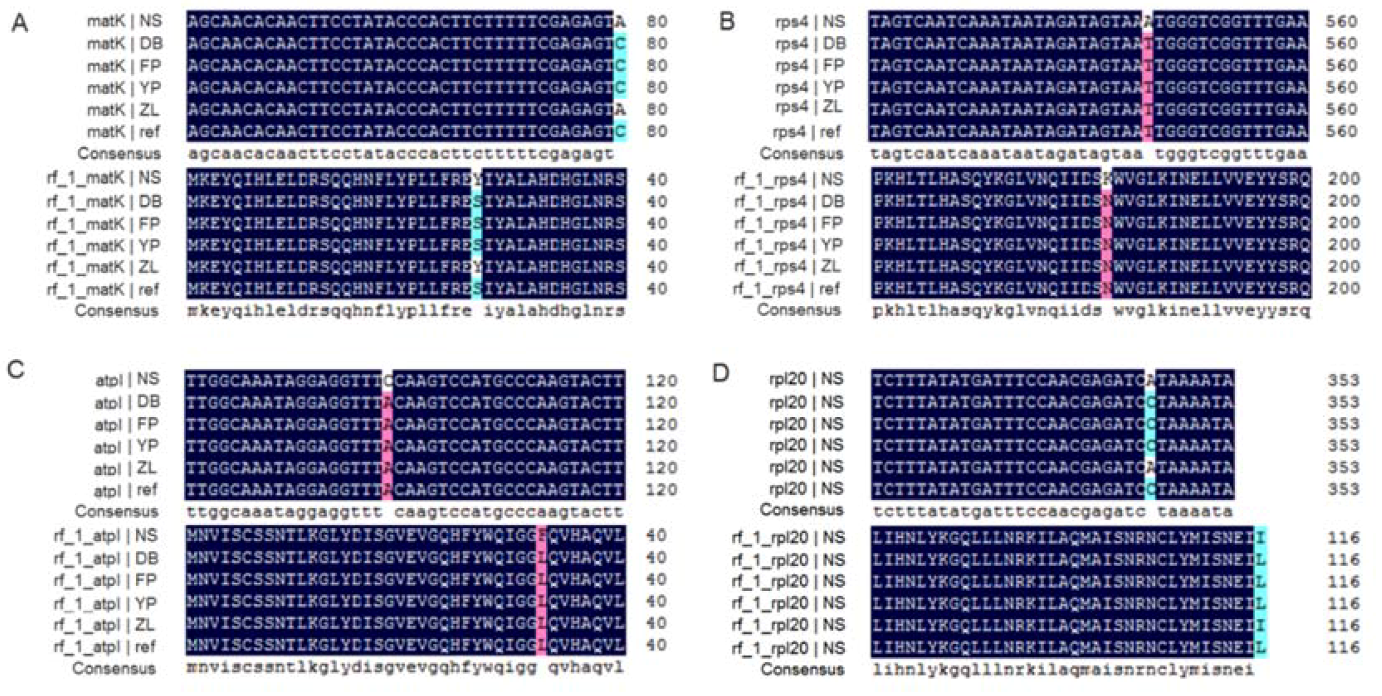 Molecules 23 01740 g002 Molecules 23 01740 g002