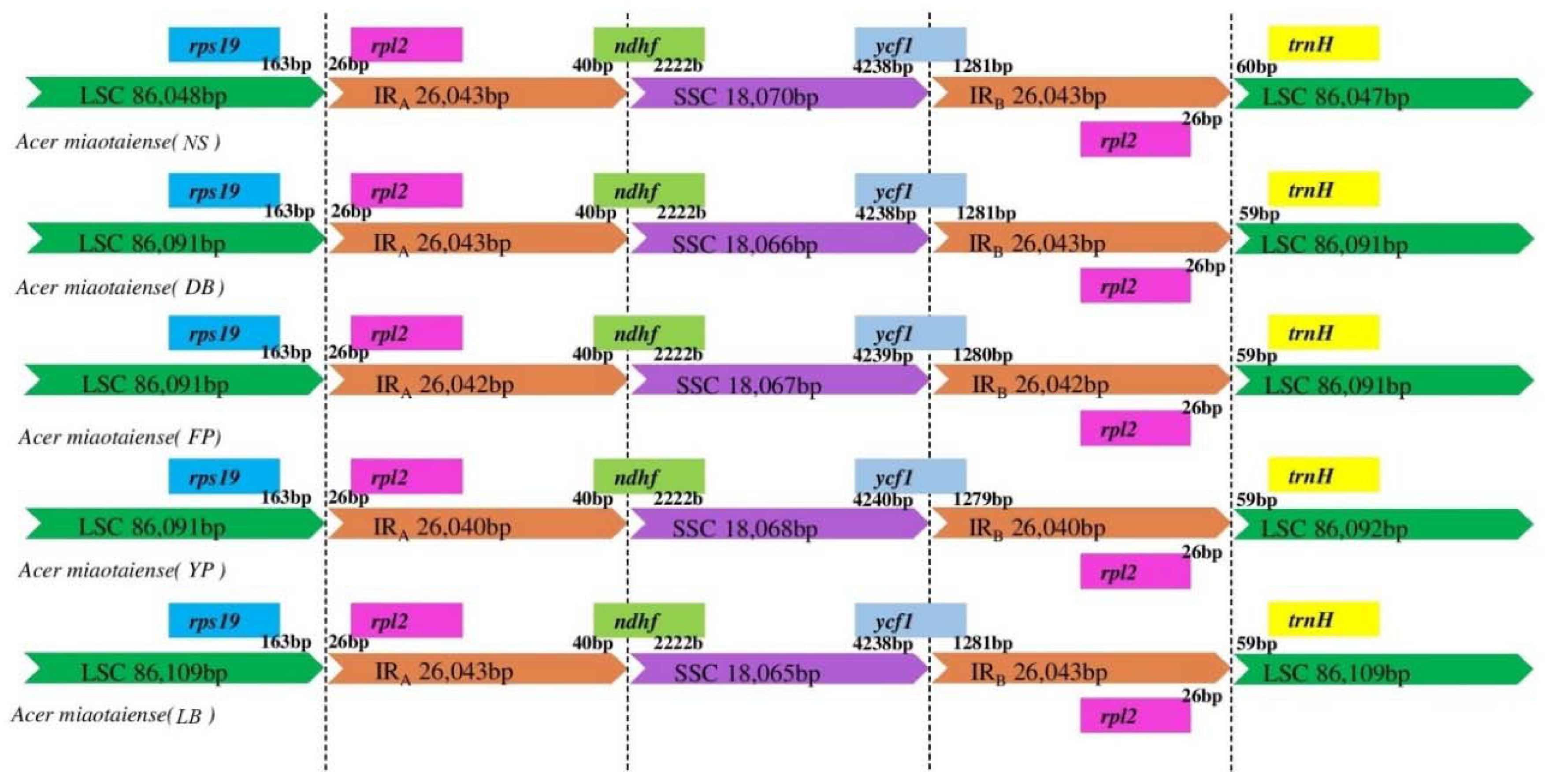 Molecules 23 01740 g004 Molecules 23 01740 g004