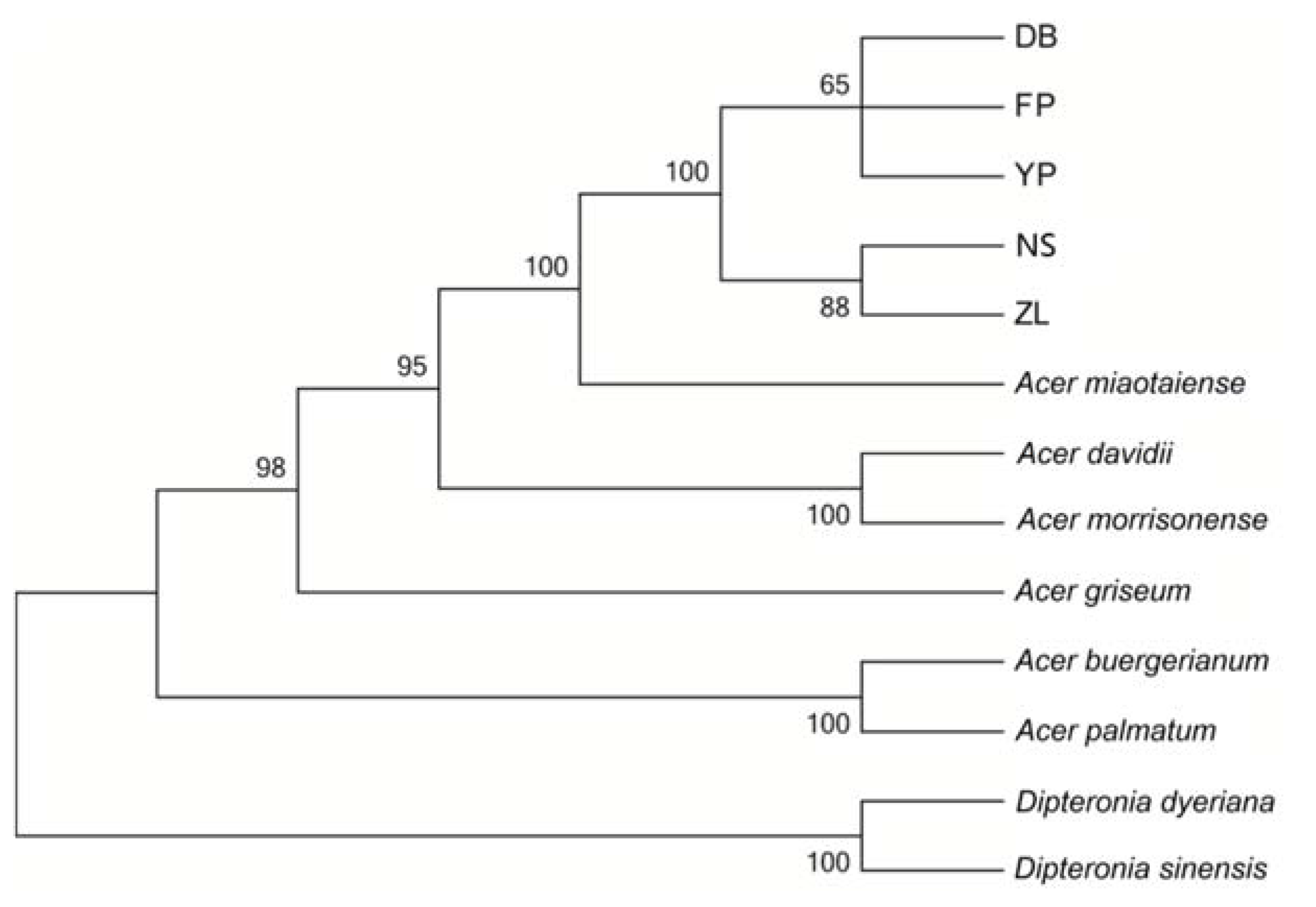 Molecules 23 01740 g007 Molecules 23 01740 g007