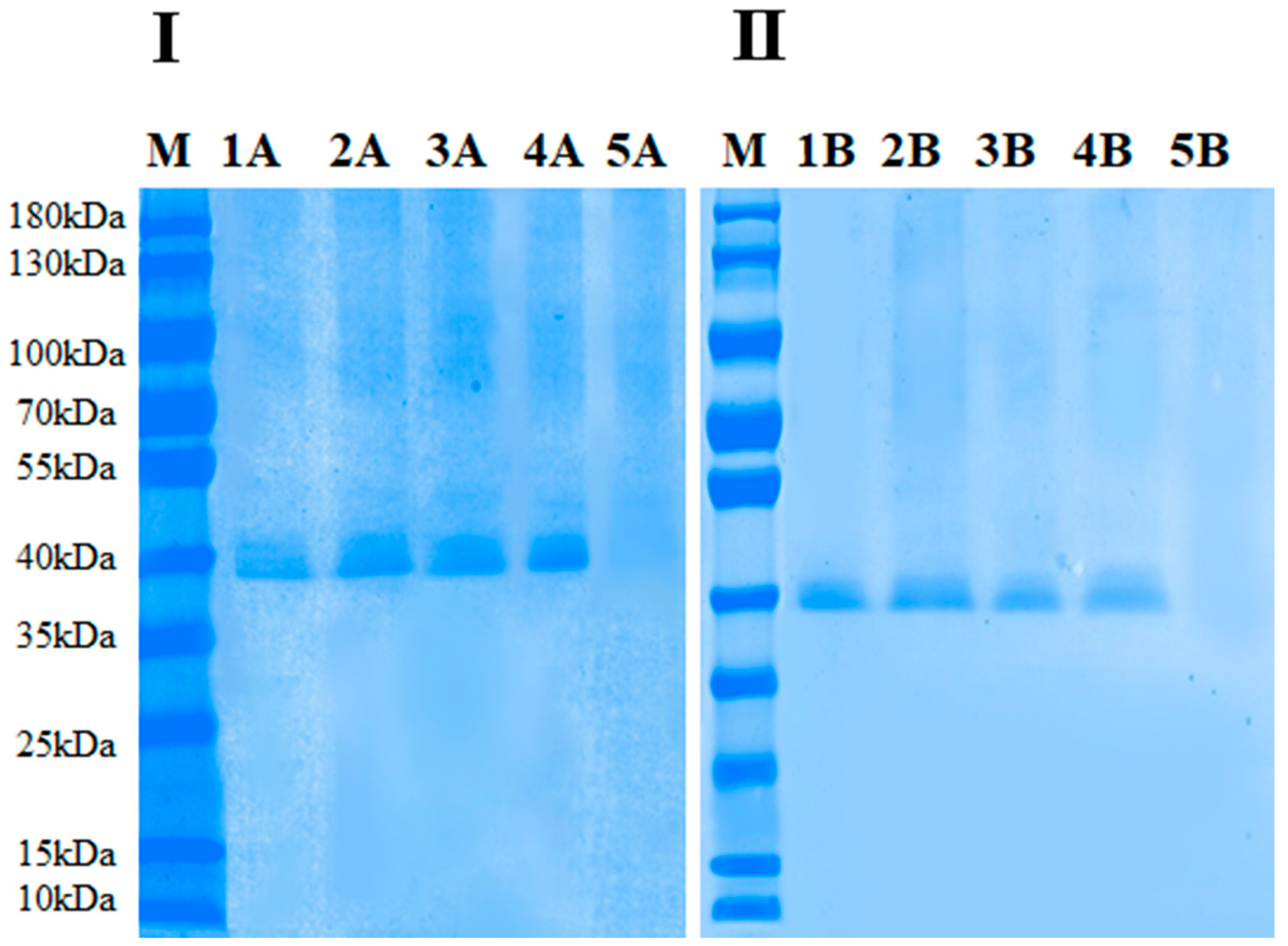 Molecules 23 01743 g006 550