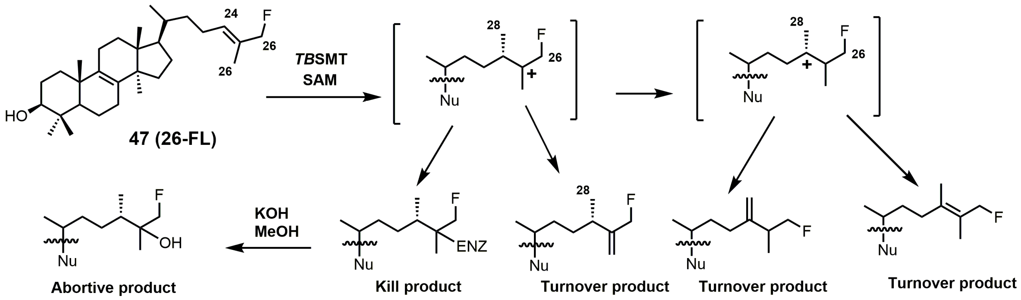 Molecules 23 01753 g021