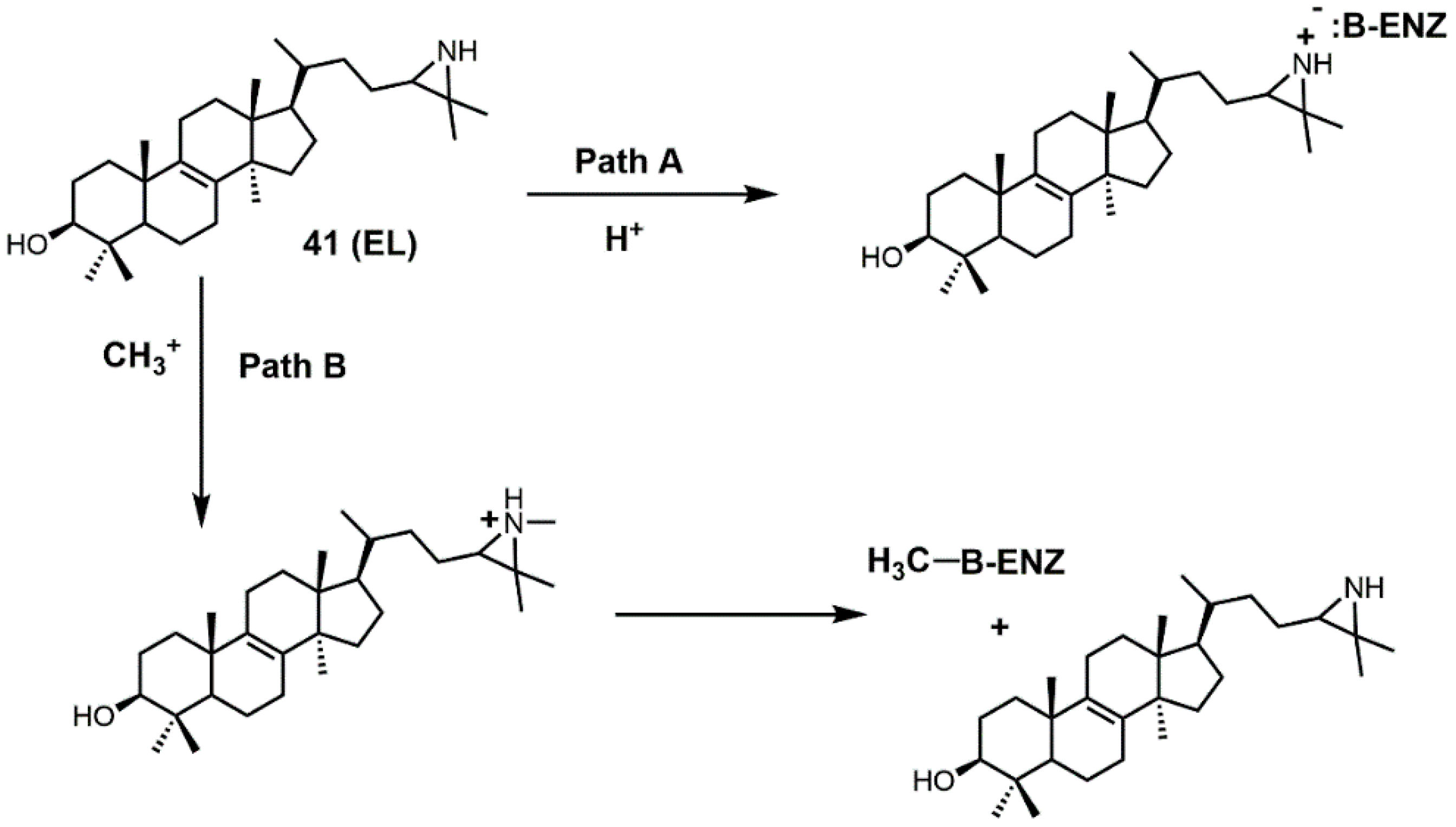 Molecules 23 01753 g023