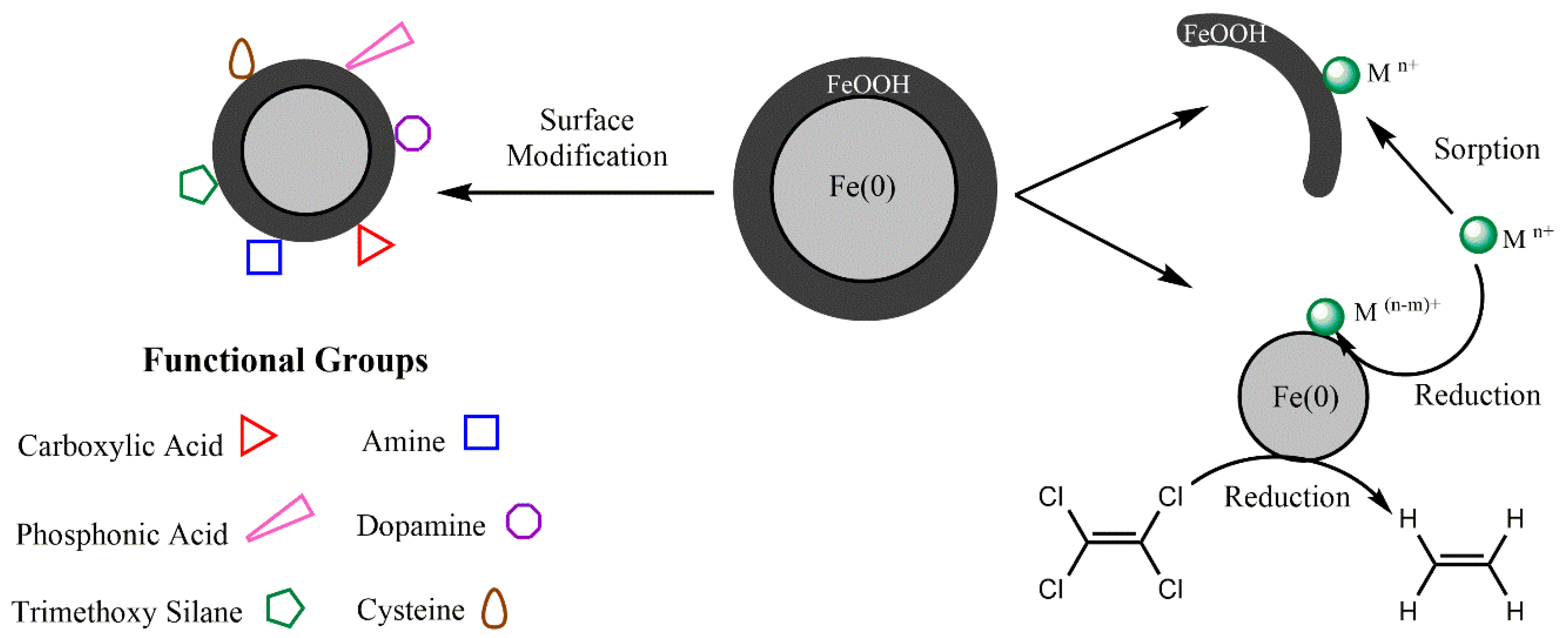 Molecules 23 01760 g002 Molecules 23 01760 g002