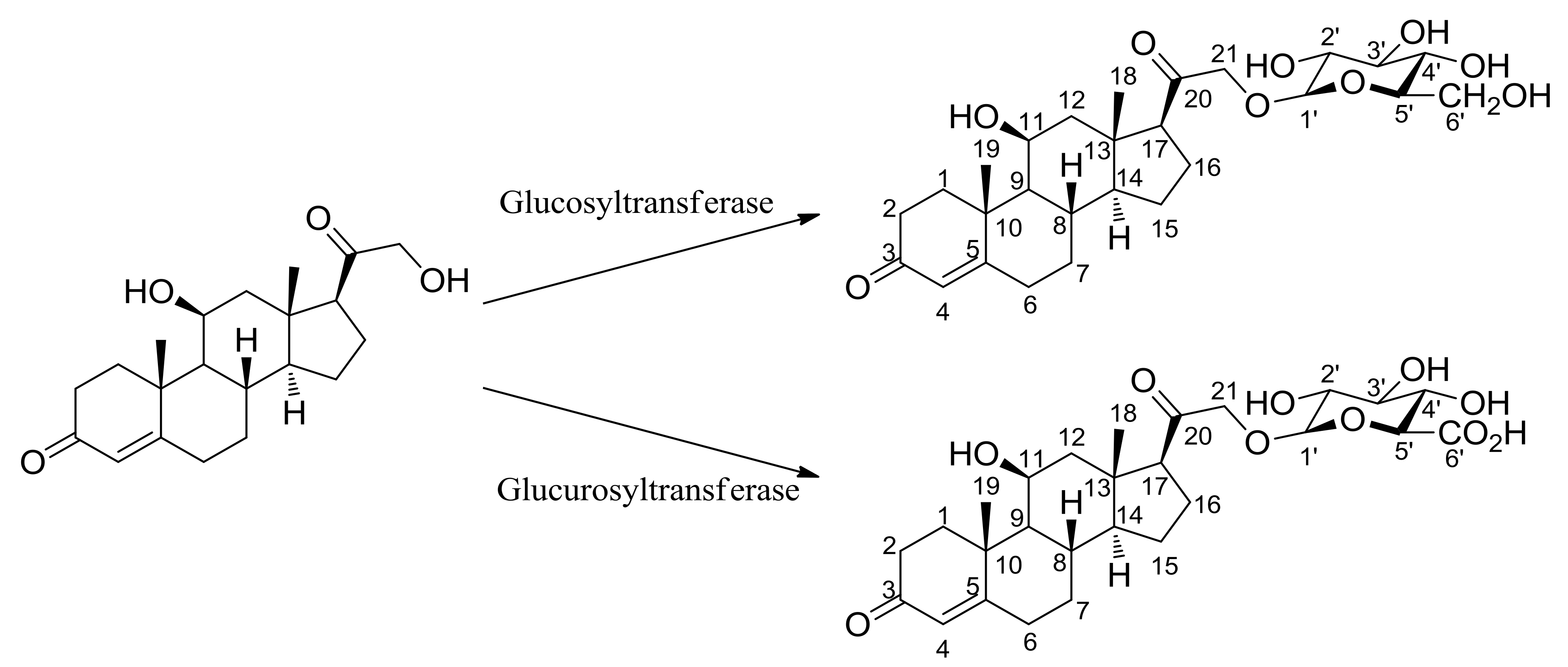 Molecules 23 01783 g001