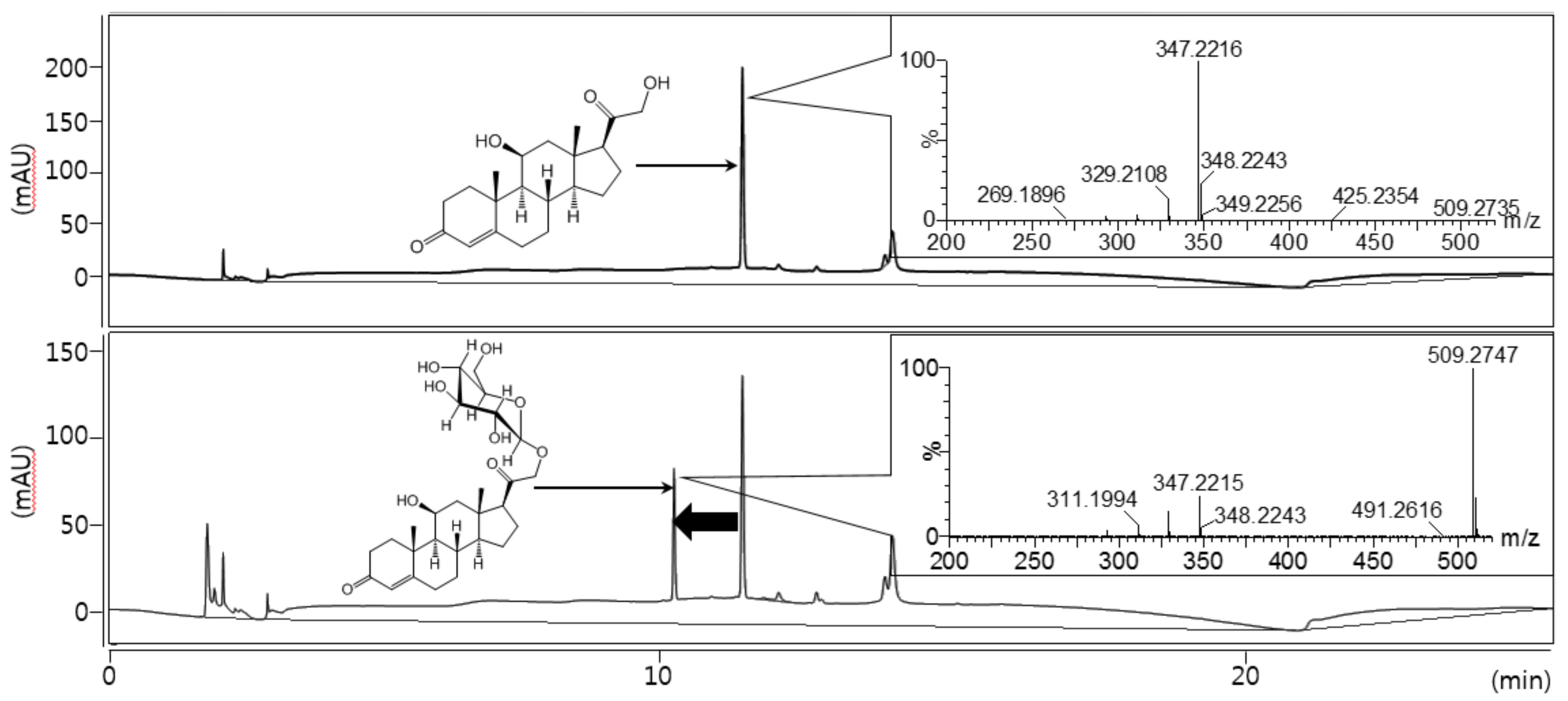 Molecules 23 01783 g002