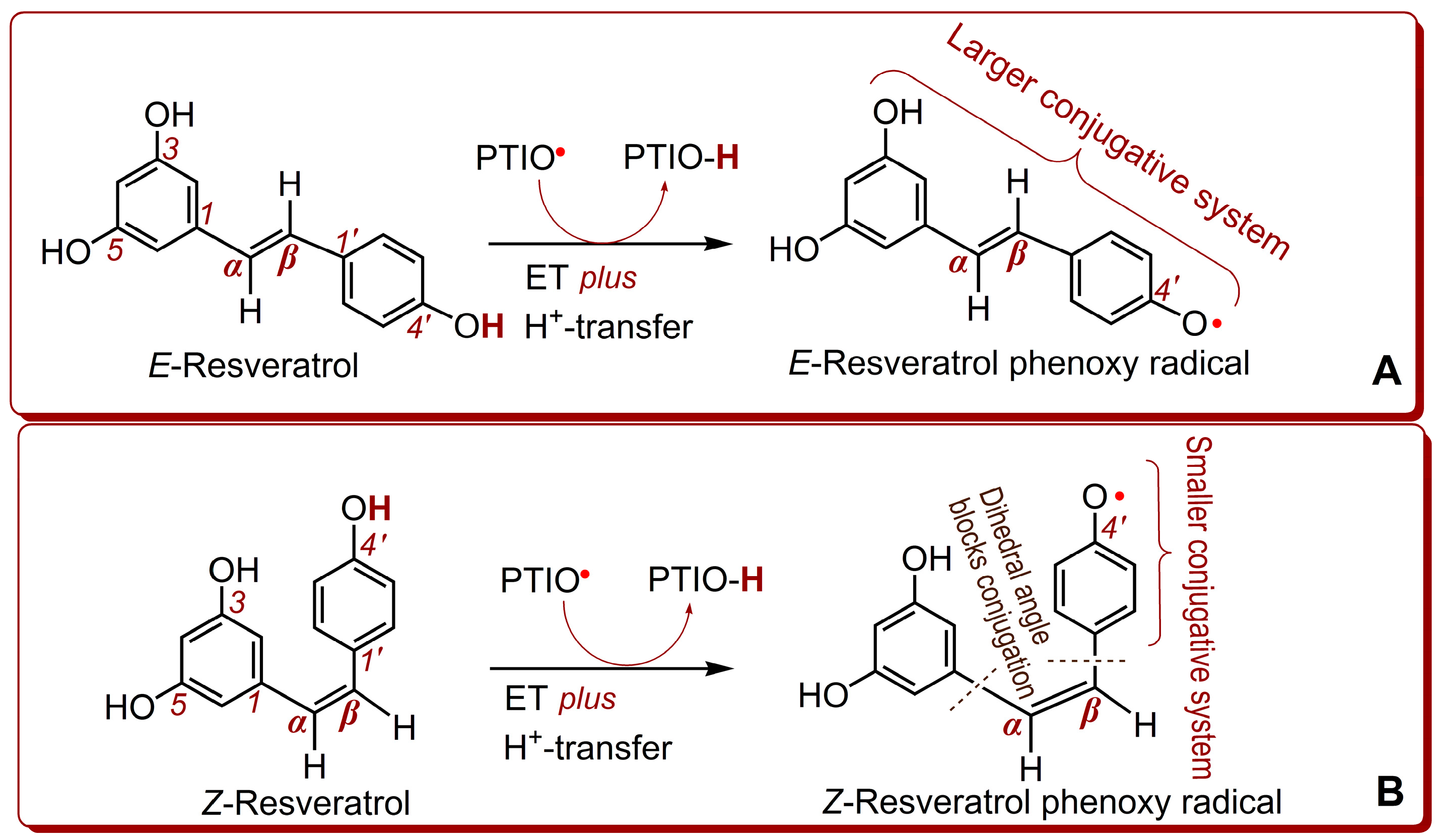 E-Configuration Improves Antioxidant and Cytoprotective E-Configuration Improves Antioxidant and Cytoprotective