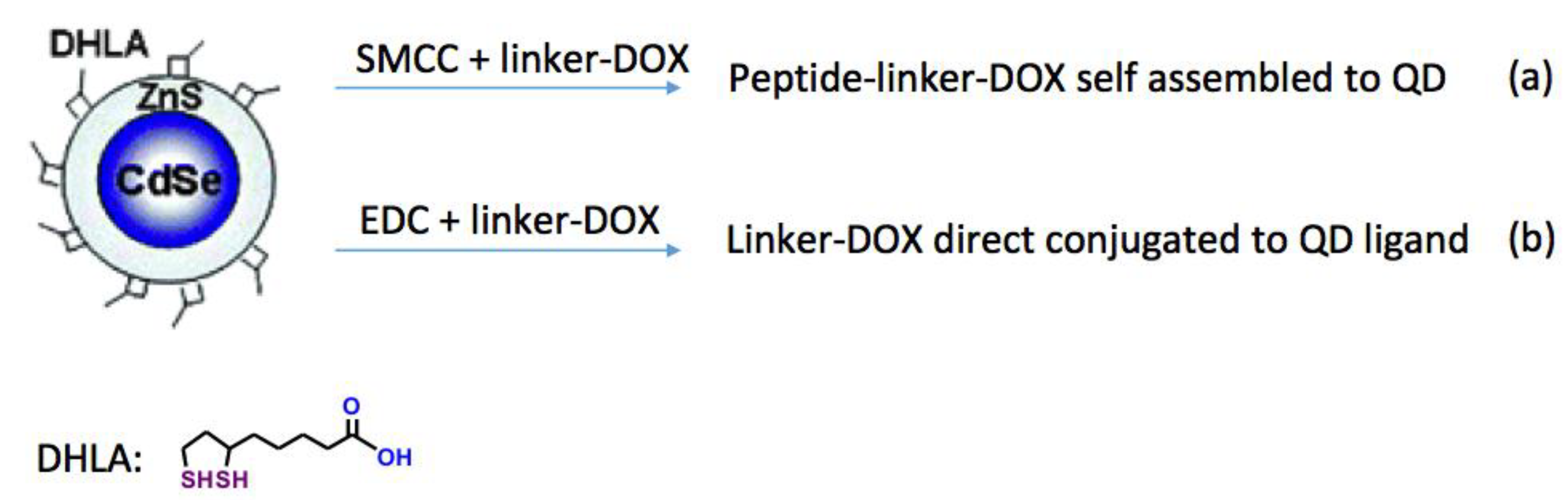 Molecules 23 01809 g001