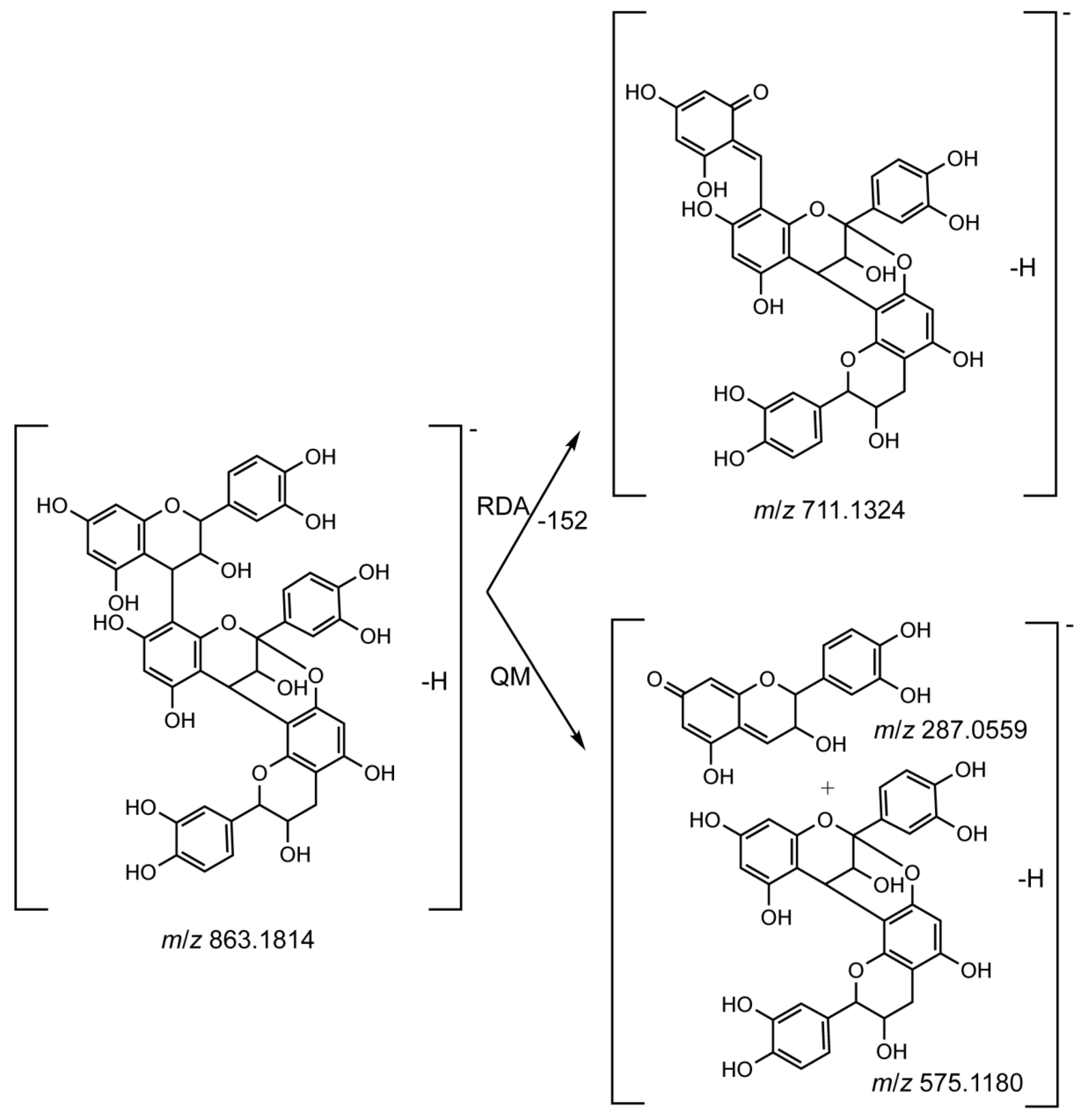 Molecules 23 01817 g004 Molecules 23 01817 g004