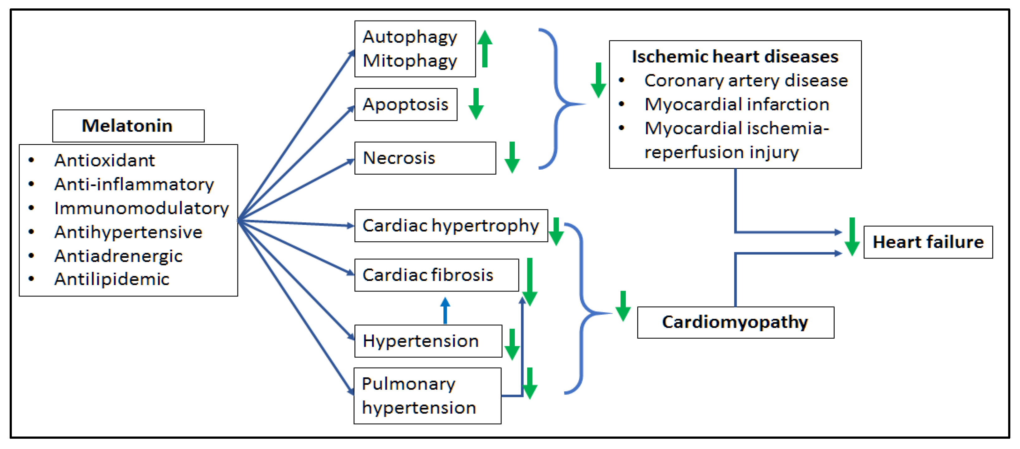 Molecules 23 01819 g002 Molecules 23 01819 g002
